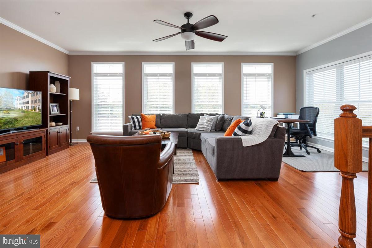 ELLENDALE - Residential Lease