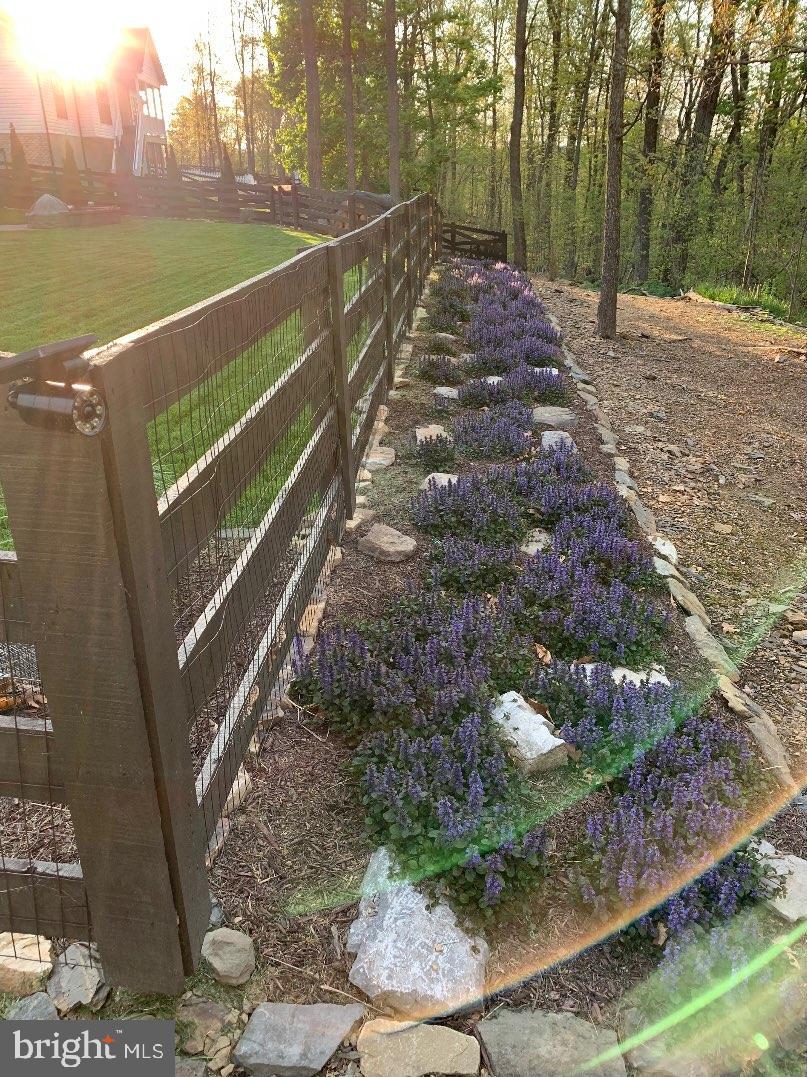 ABRAMS POINTE - Residential