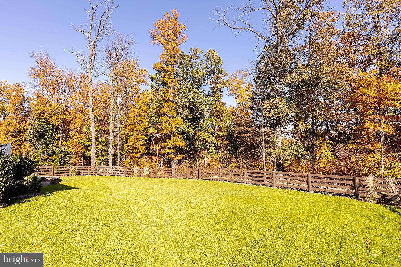 ABRAMS POINTE - Residential