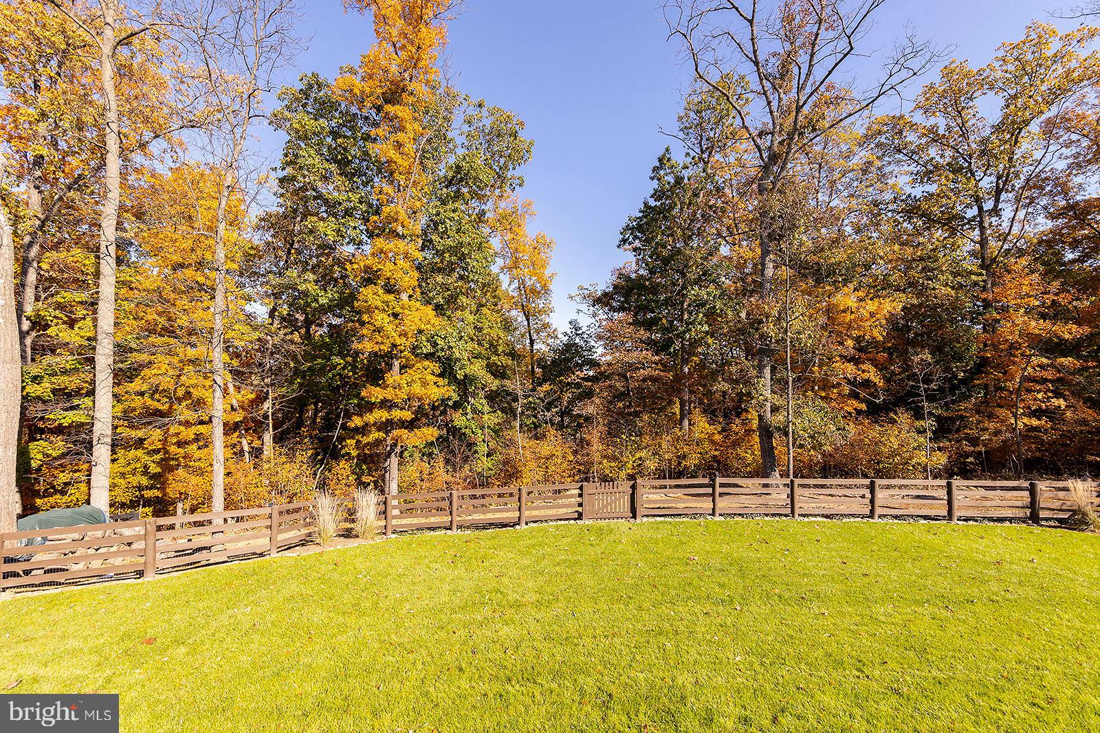 ABRAMS POINTE - Residential