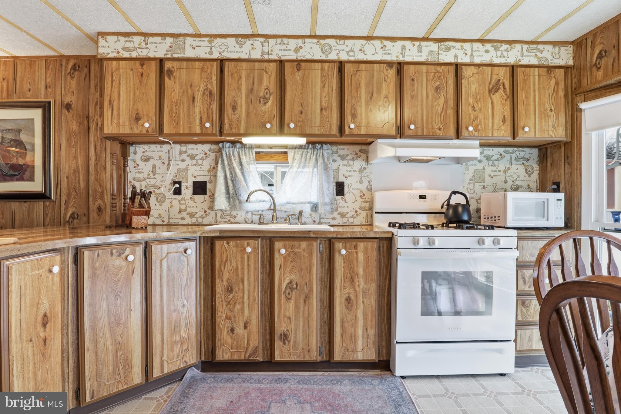 SPRINGETTSBURY TWP - Residential