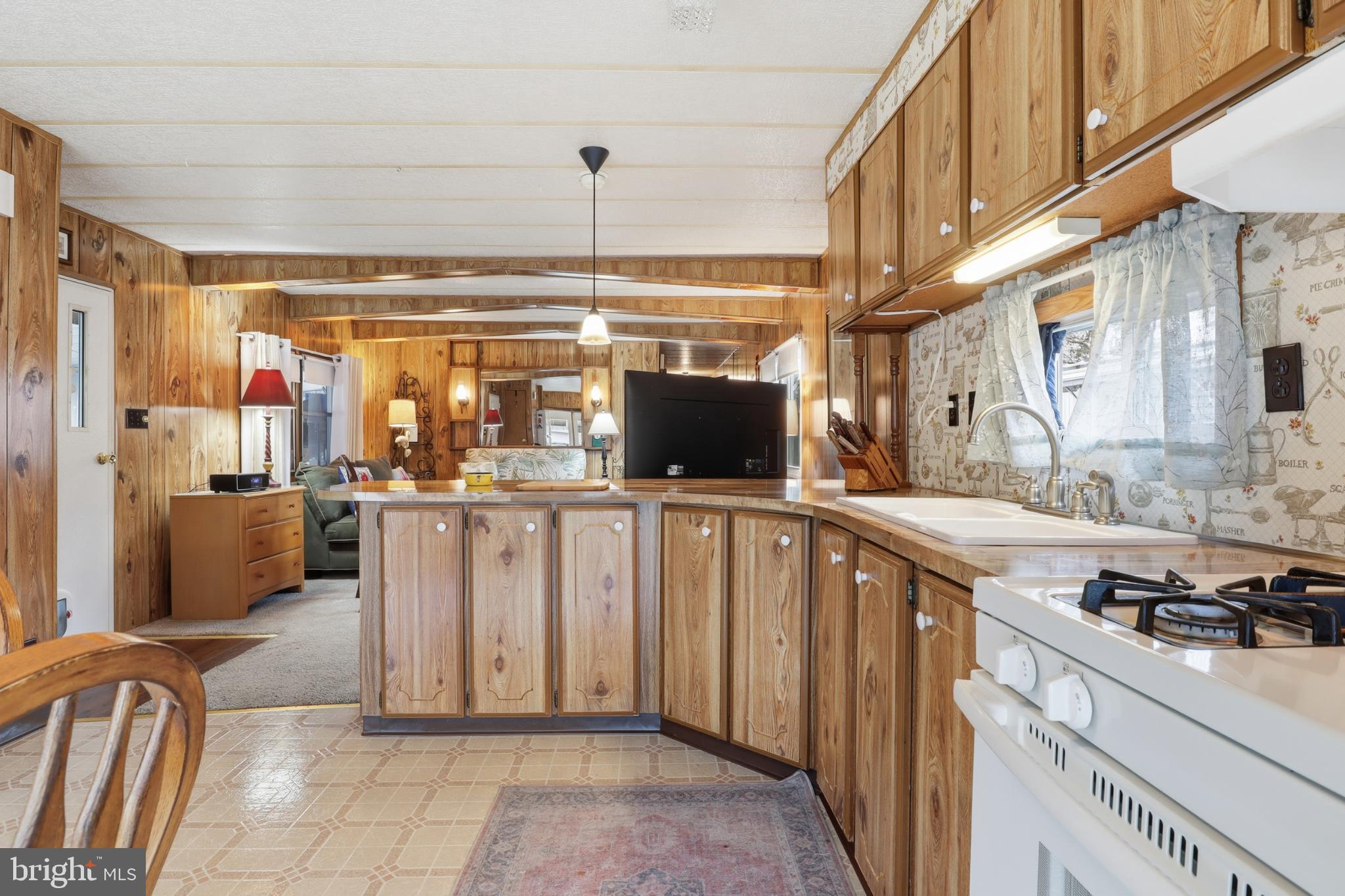 SPRINGETTSBURY TWP - Residential