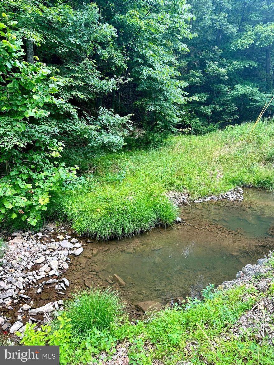 Looking for a getaway or permanent living parcel.  You MUST check this one out.  Just minutes off the TROUGH ROAD and not too deep within Ashton Woods, the 23 acres has easy access in all seasons.  A small STREAM meanders on the western side of the property.  Property is predominately wooded with some clearing. Topo is rolling with a steeper area towards the back.   Feel like you are miles away from anything letting the sounds of nature & the trinkling of the stream revitalize & refresh your soul.  Just a short drive you can float the South Branch of the Potomac for the day, swim & fish.    Within Ashton Woods, you will have a private access to the over 8000 acres of WV Wildlife Management Area for hiking or hunting.    Well maintained development roads and gated community.  Call today for an appointment to walk the property.