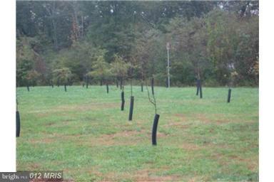 EAGLES LANDING AT WATERS EDGE - Residential