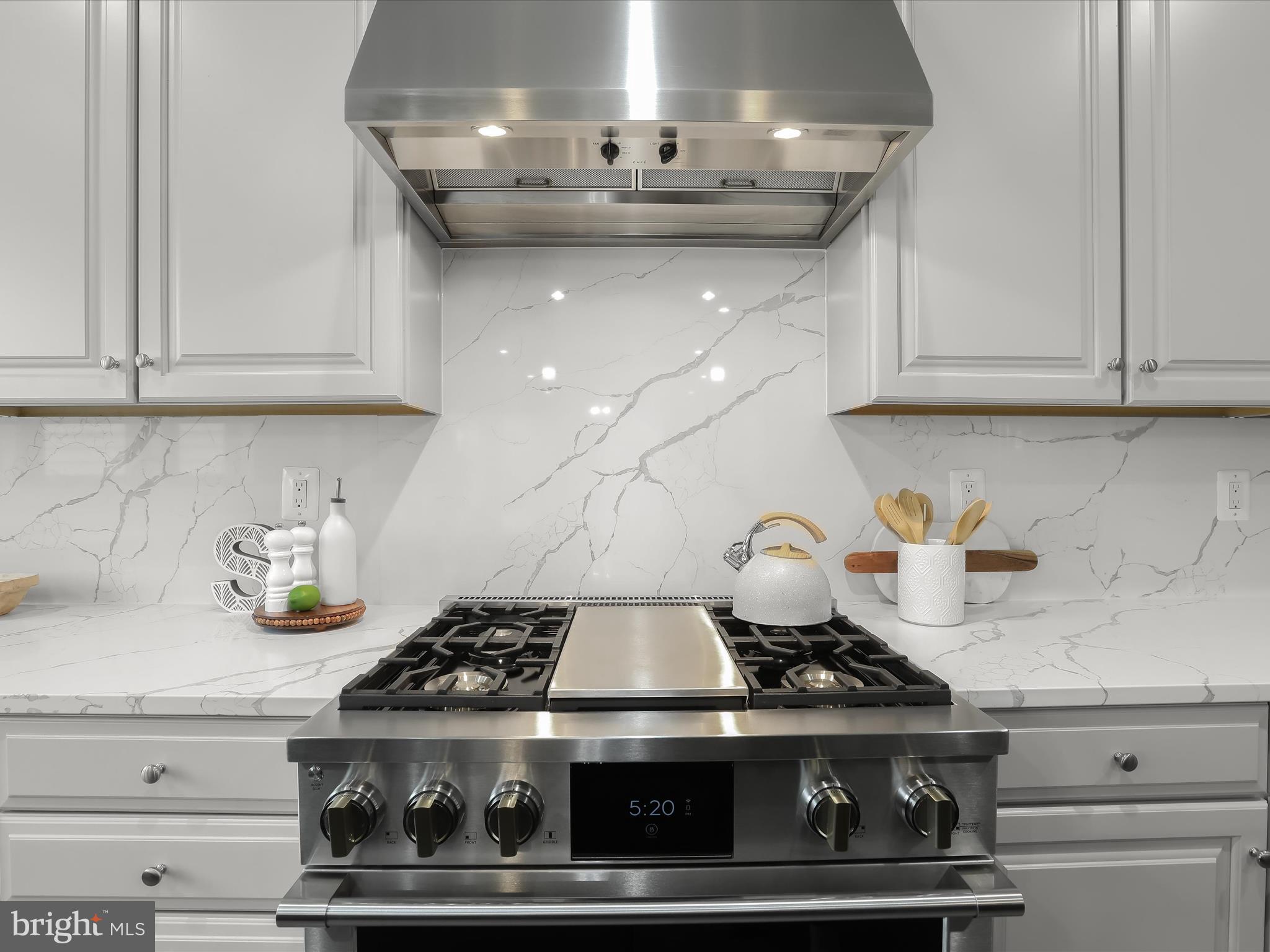 THE RIDINGS AT NORTH BRANCH - Residential