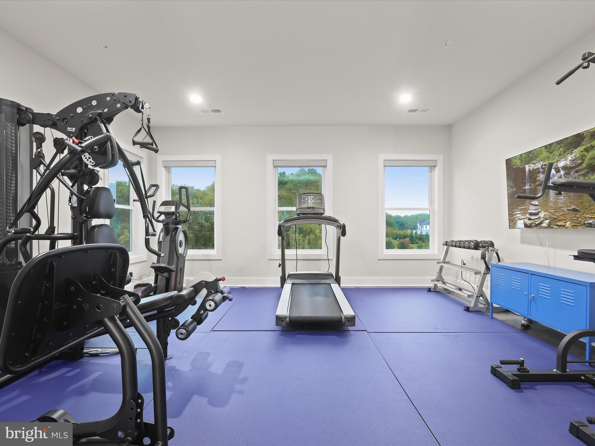 THE RIDINGS AT NORTH BRANCH - Residential