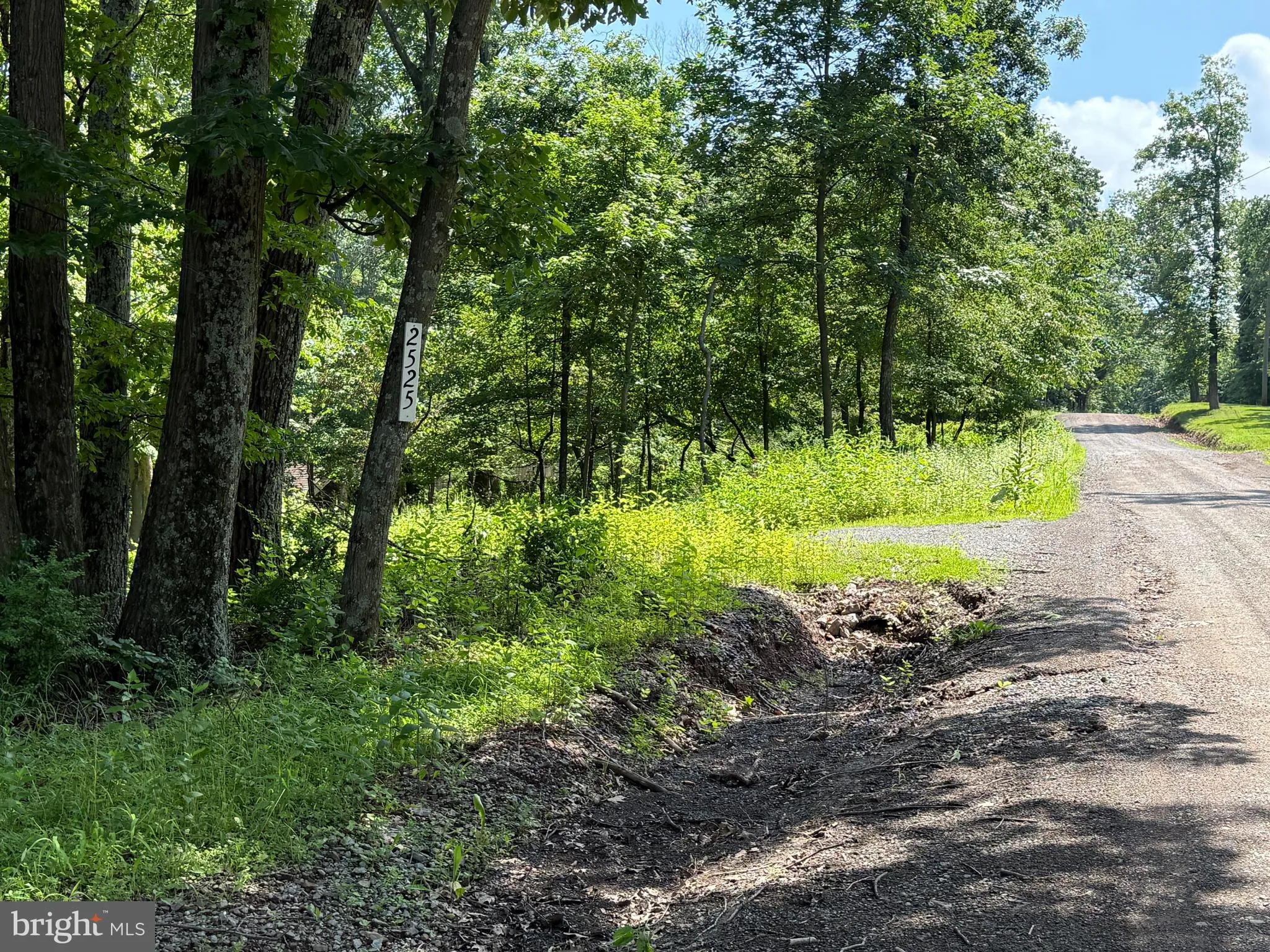 Hedgesville, West Virginia 25427, United States, ,Land,Active,166650
