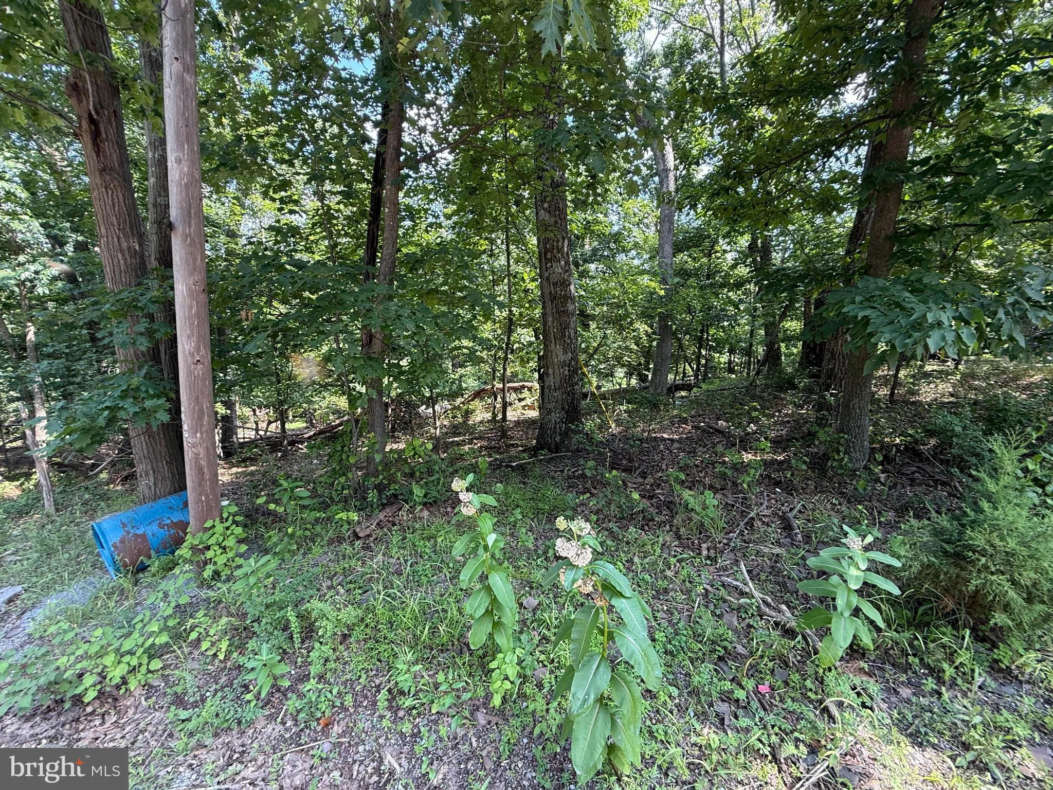 Hedgesville, West Virginia 25427, United States, ,Land,Active,166650