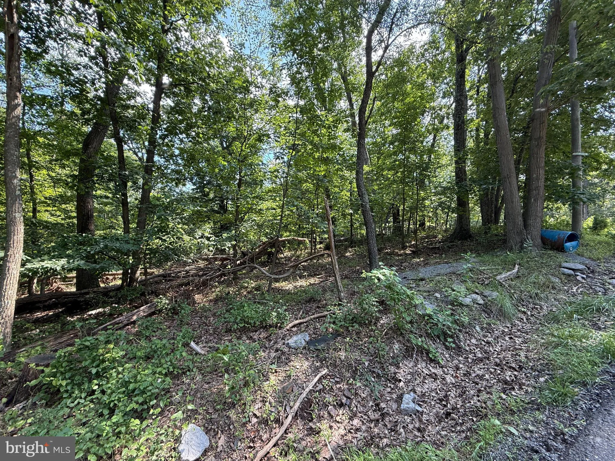 Hedgesville, West Virginia 25427, United States, ,Land,Active,166650 Hedgesville, West Virginia 25427, United States, ,Land,Active,166650