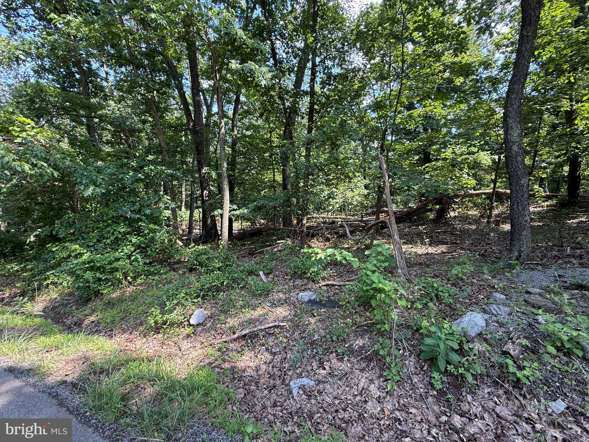 SLEEPY HOLLOW - Land