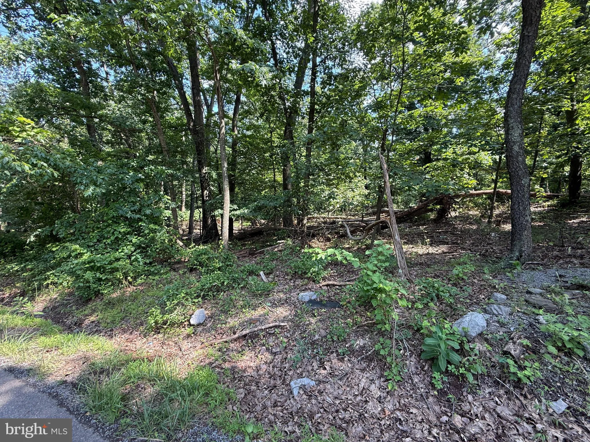 Hedgesville, West Virginia 25427, United States, ,Land,Active,166650