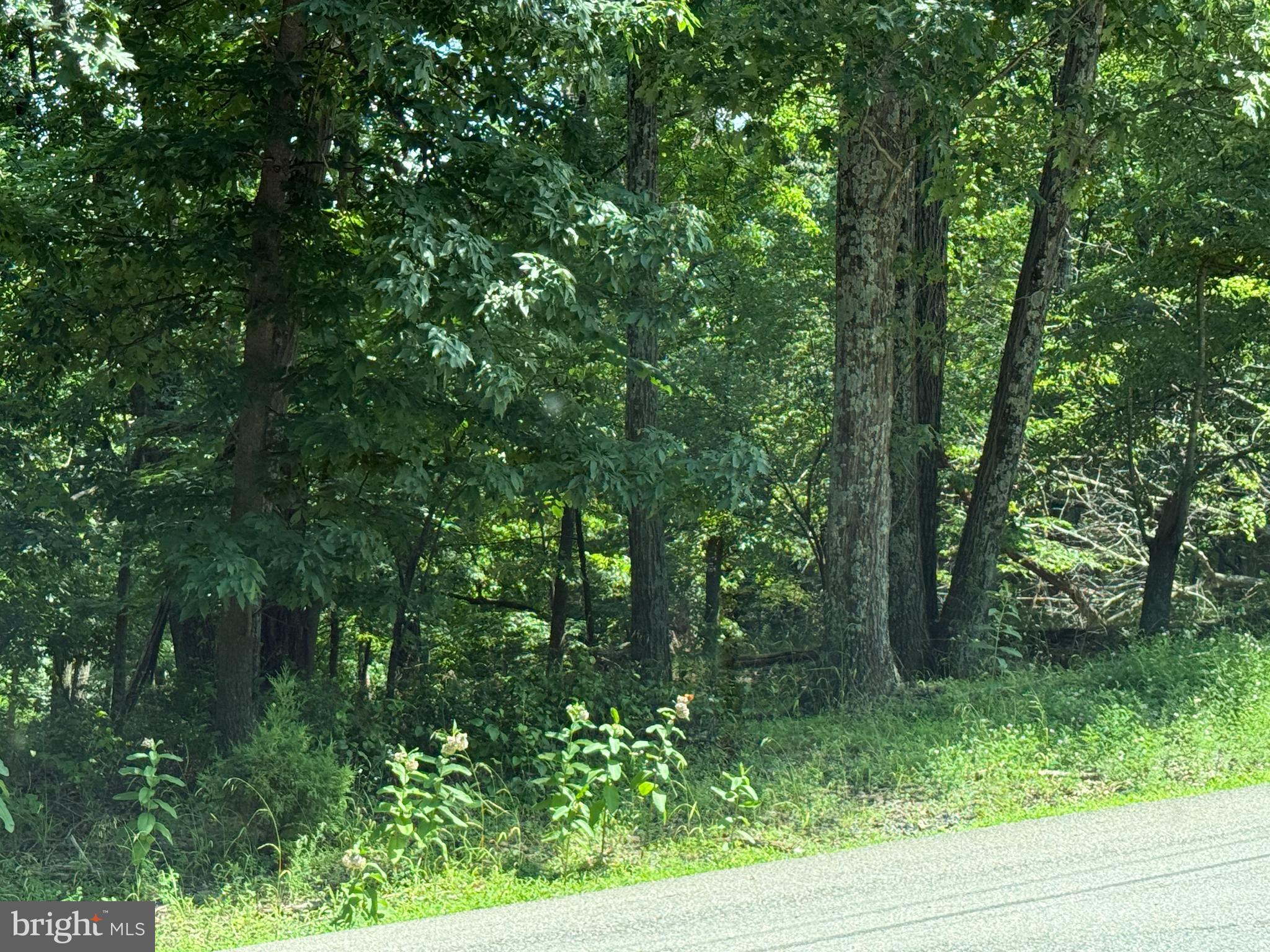 SLEEPY HOLLOW - Land