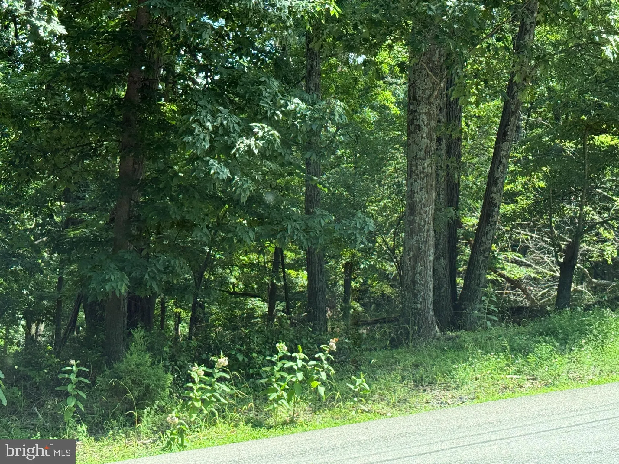 Hedgesville, West Virginia 25427, United States, ,Land,Active,166650