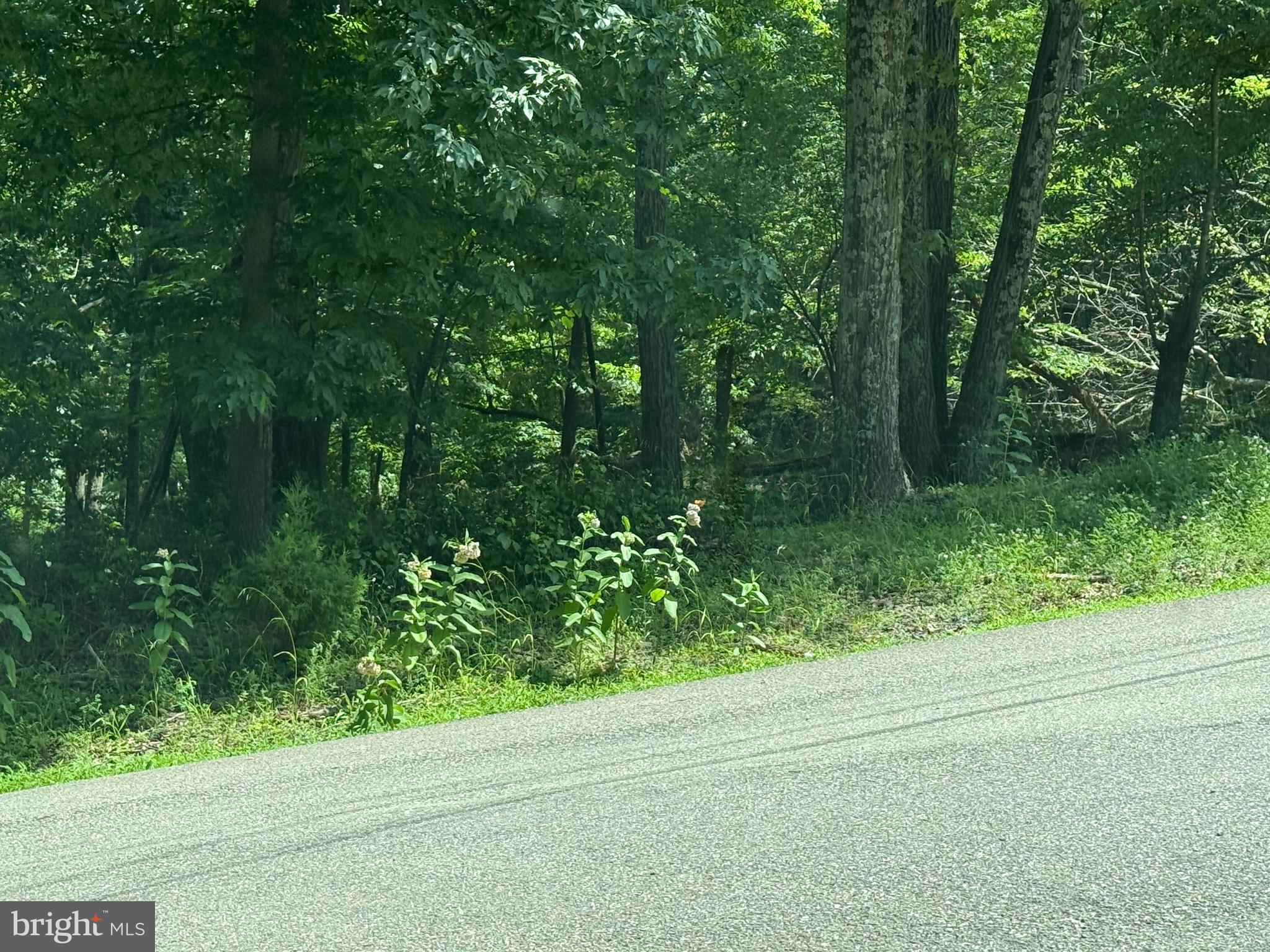 SLEEPY HOLLOW - Land