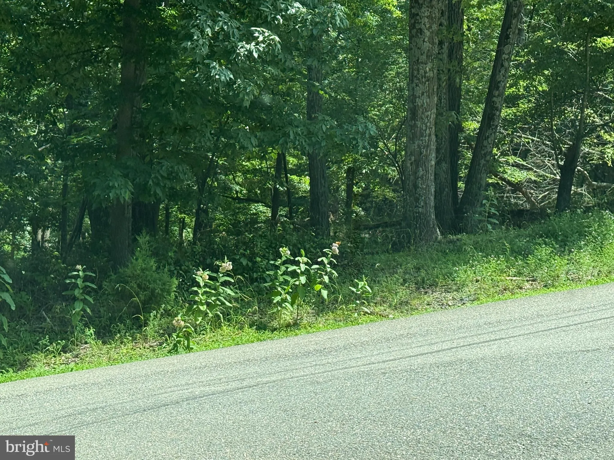 Hedgesville, West Virginia 25427, United States, ,Land,Active,166650