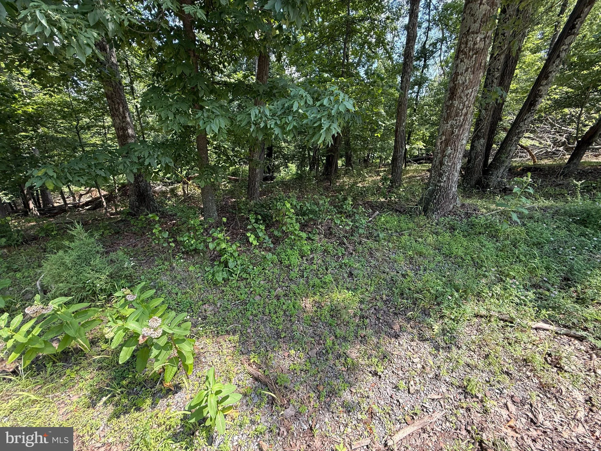 Hedgesville, West Virginia 25427, United States, ,Land,Active,166650