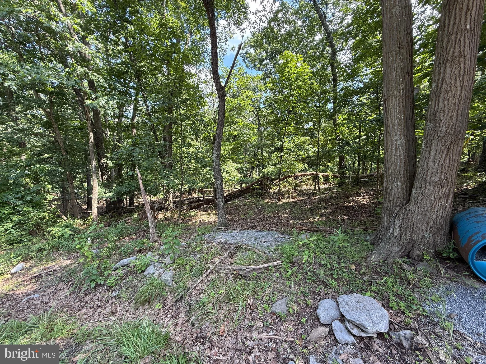 Hedgesville, West Virginia 25427, United States, ,Land,Active,166650