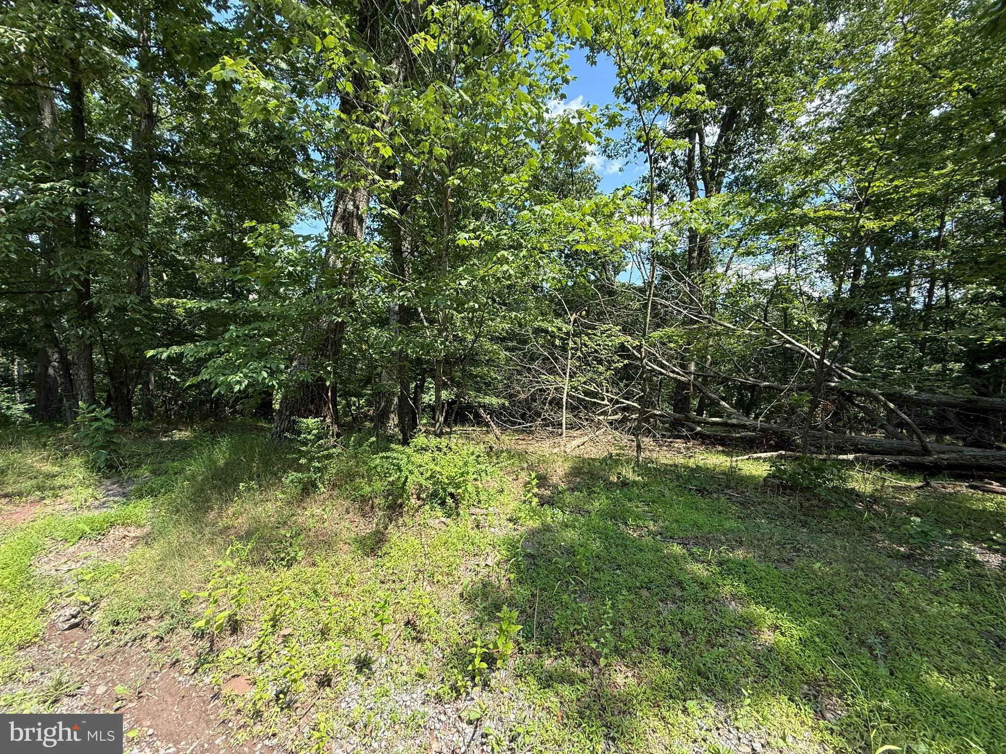 Hedgesville, West Virginia 25427, United States, ,Land,Active,166650