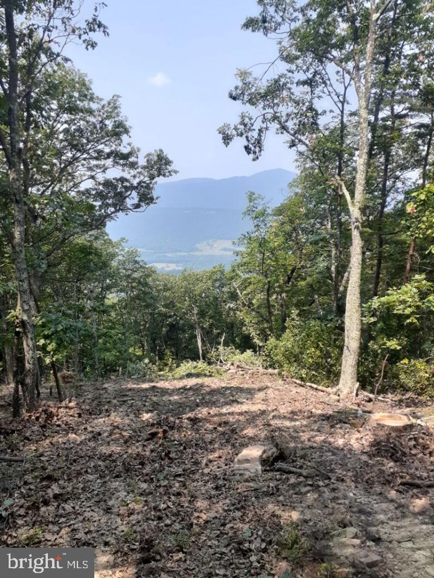 Fantastic mountain views with a freshly installed driveway!   Over 20 acres facing the west gives you a rejuvenating respite from the bustle of city life.  Wildlife abounds in every direction.  Excellent hunting and hiking opportunities for outdoor enthusiasts. Easy access to over 10,000 acres of public hunting land. Close proximity to the South Branch of the Potomac River. You are not going to want to miss out on this property!