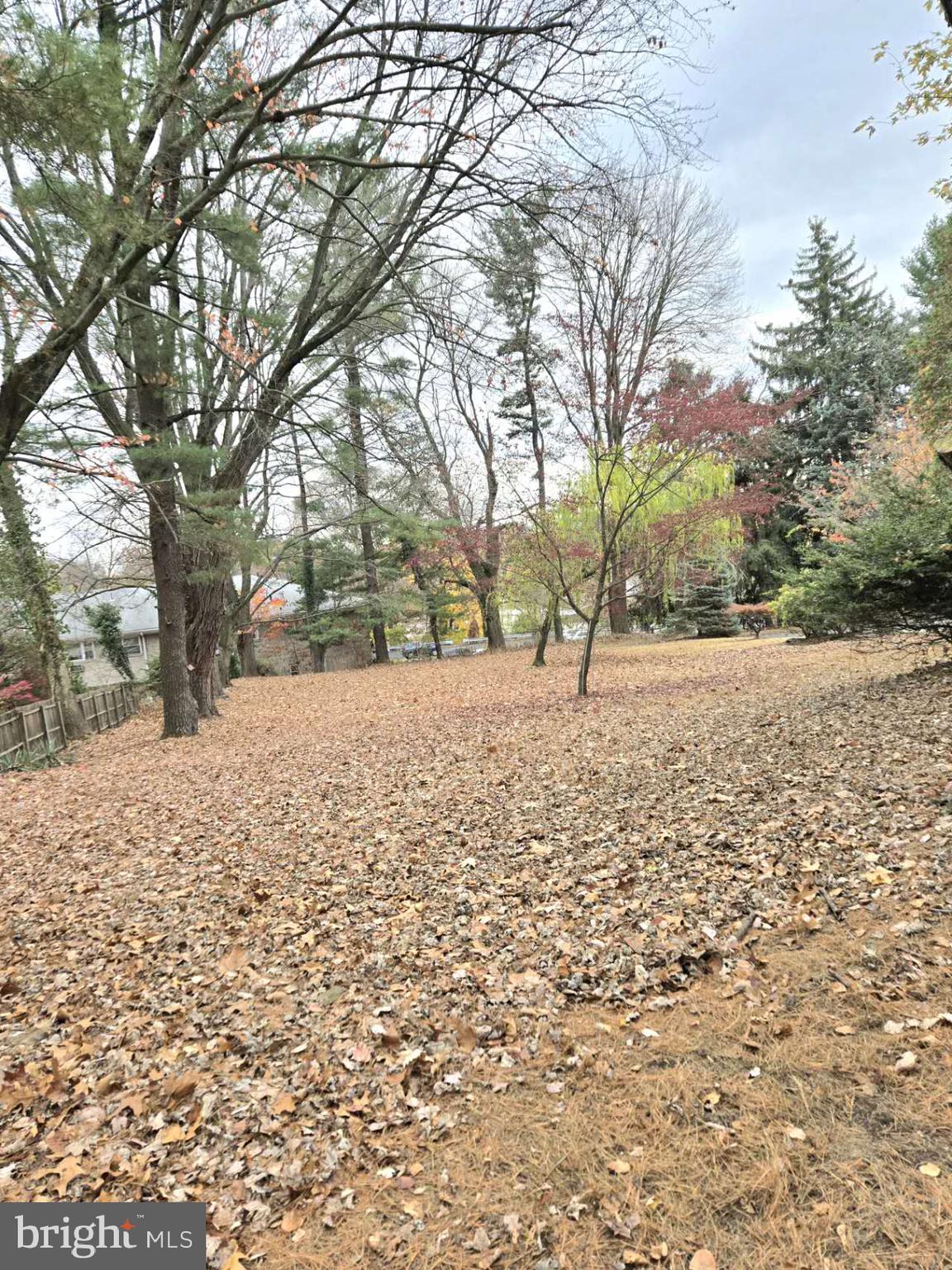 ELKINS PARK - Residential