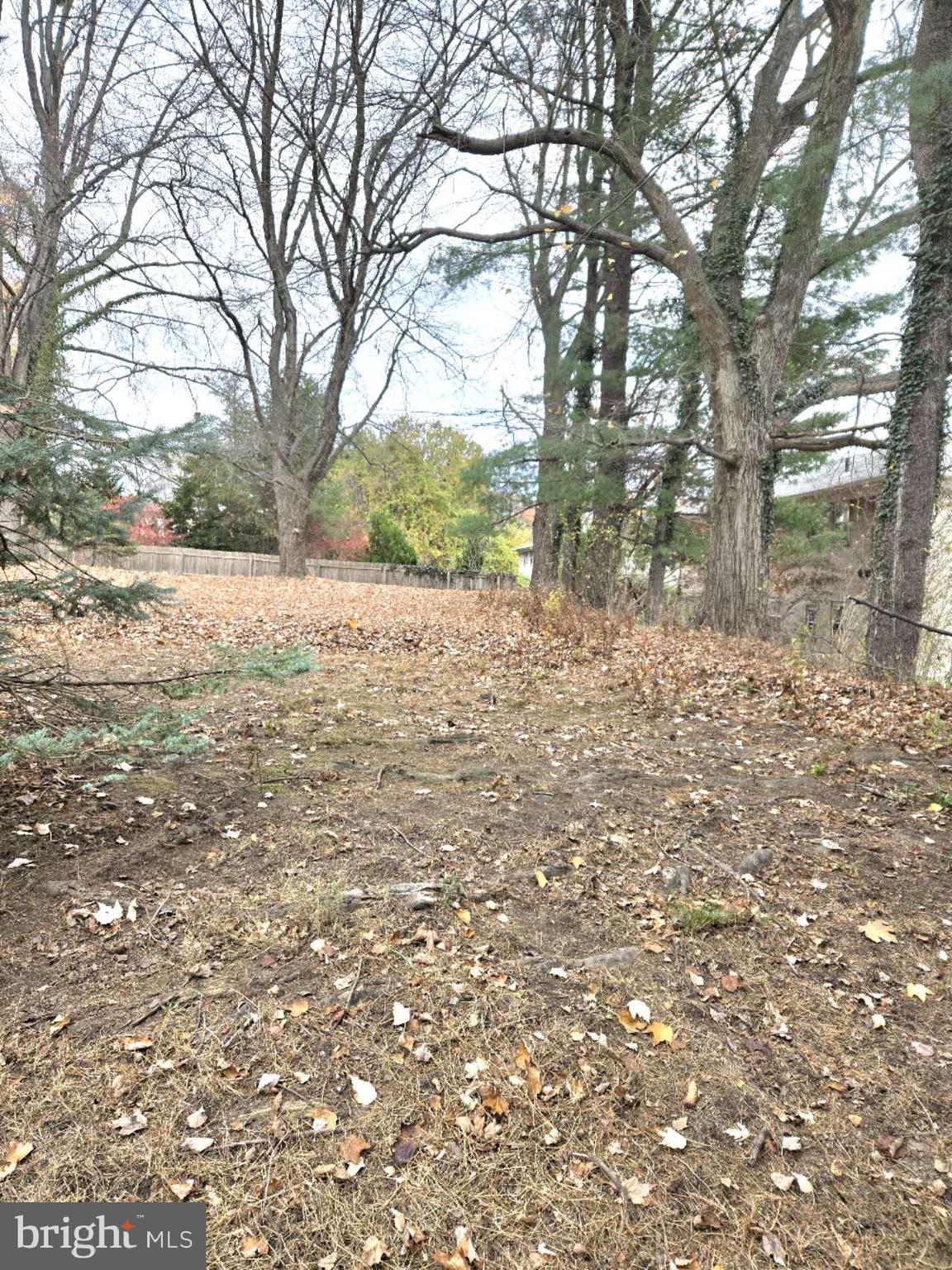 ELKINS PARK - Residential