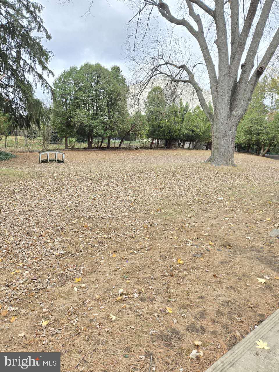 ELKINS PARK - Residential