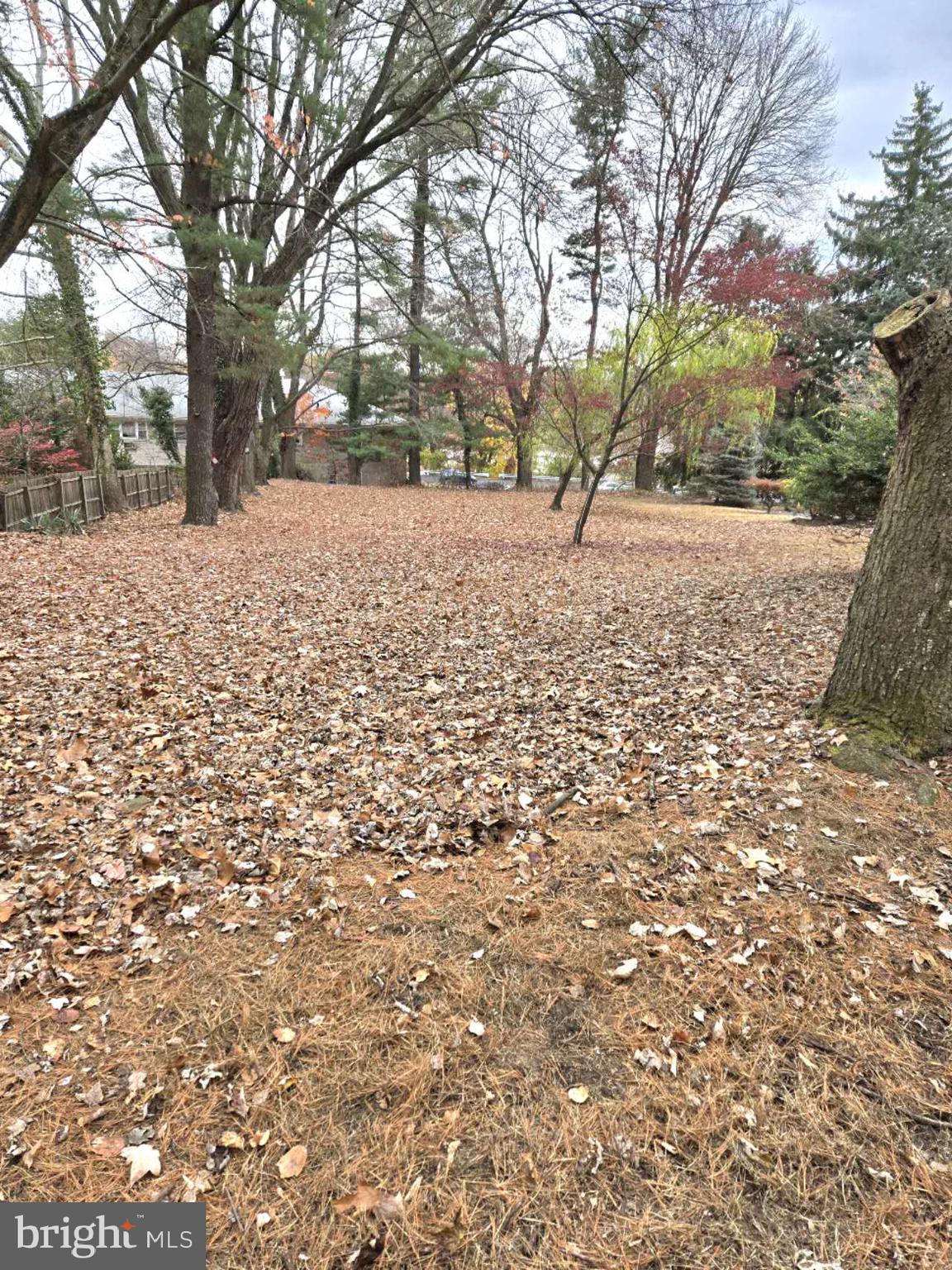 ELKINS PARK - Residential