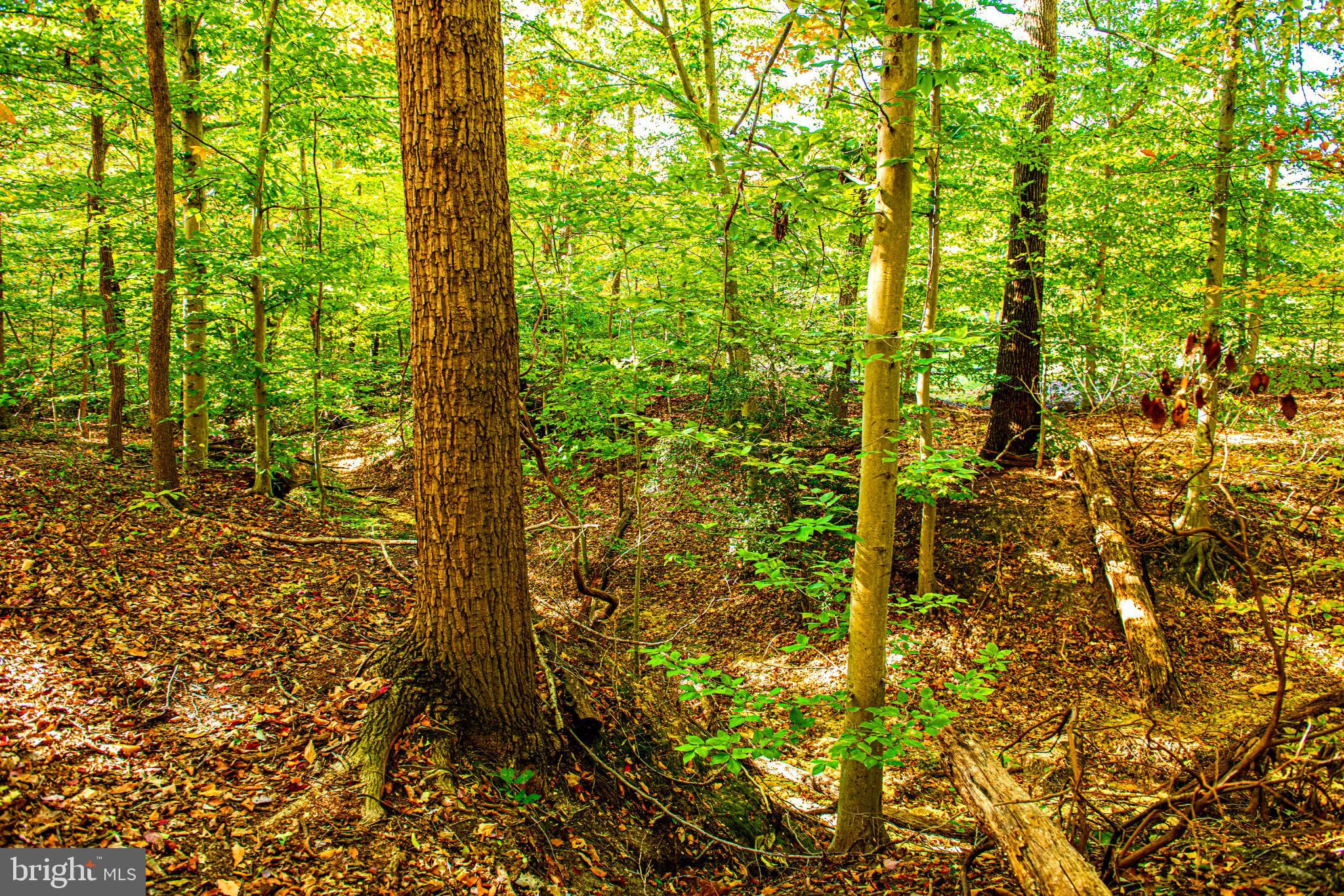 COKESBURY MANOR - Residential