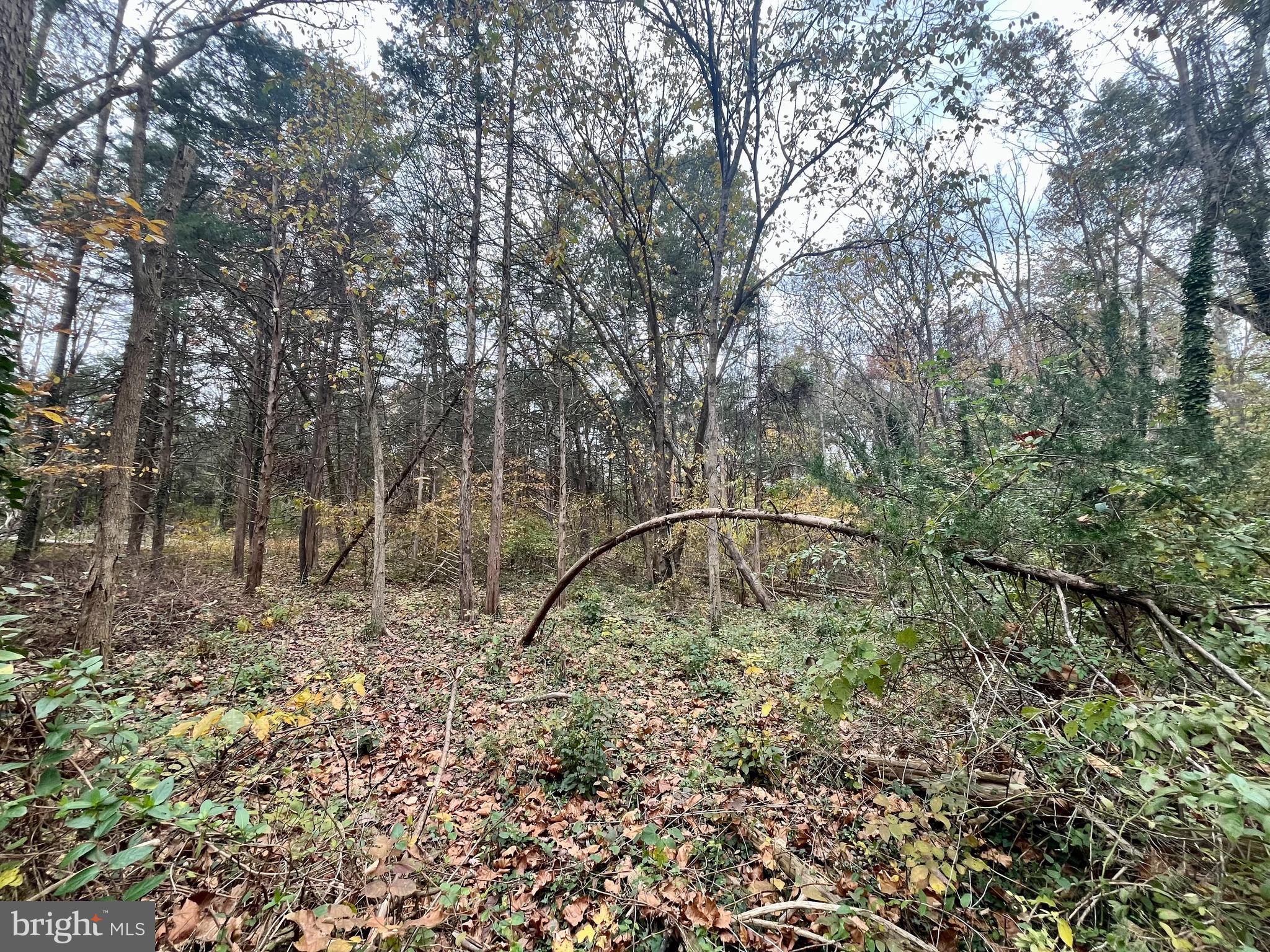 LAND OF LURAY - Land