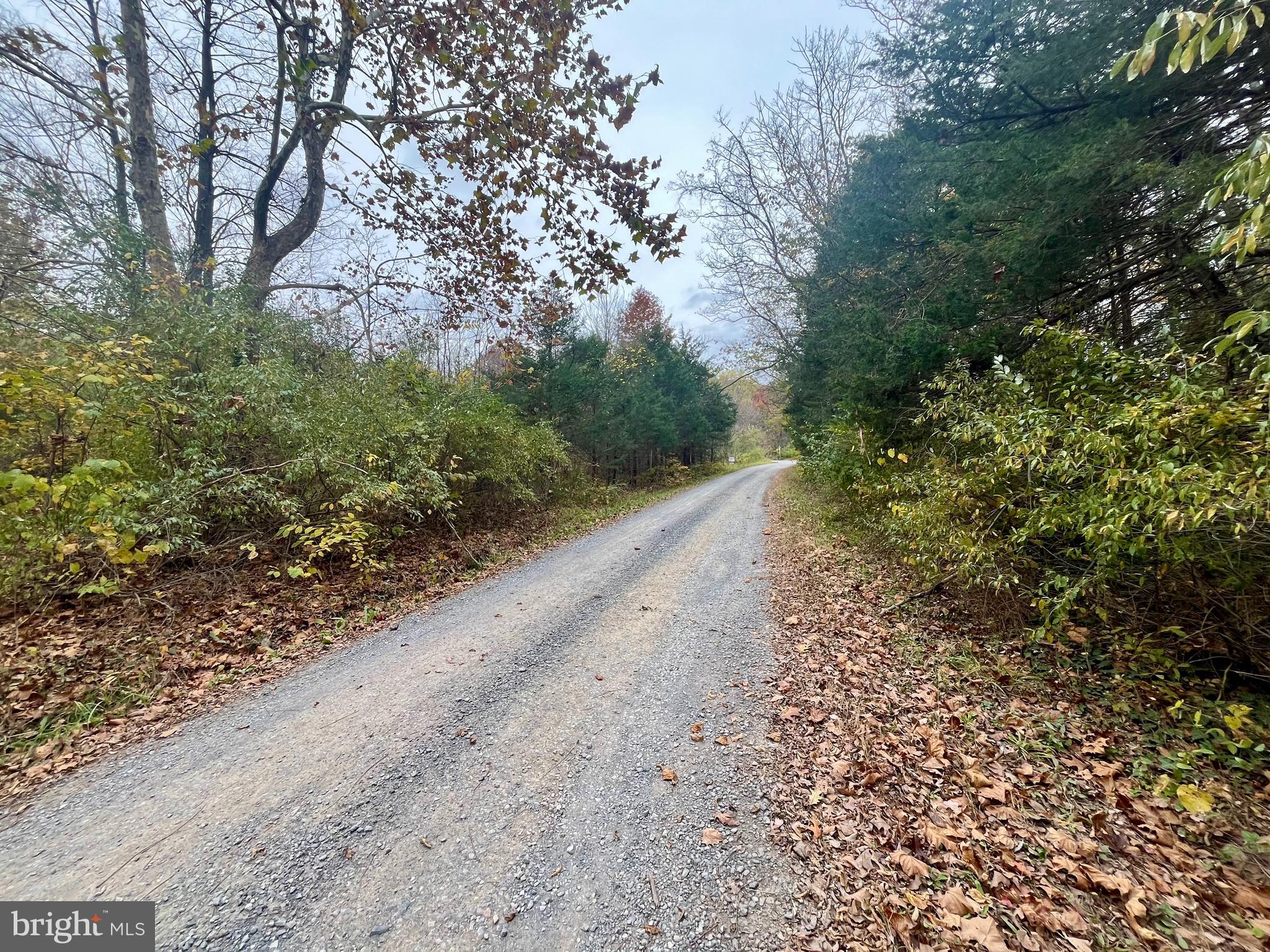 LAND OF LURAY - Land