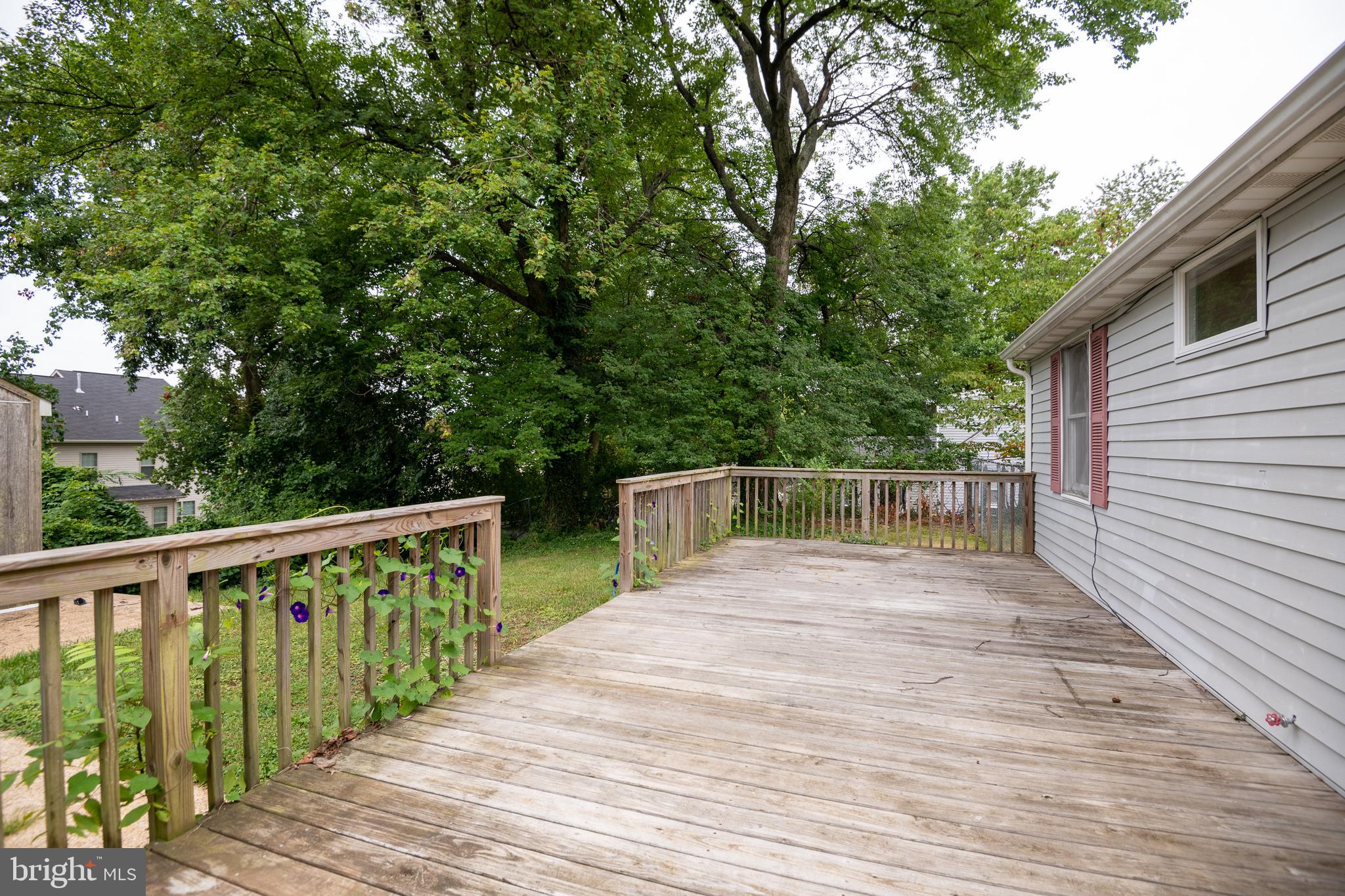 BELVEDERE BEACH - Residential Lease