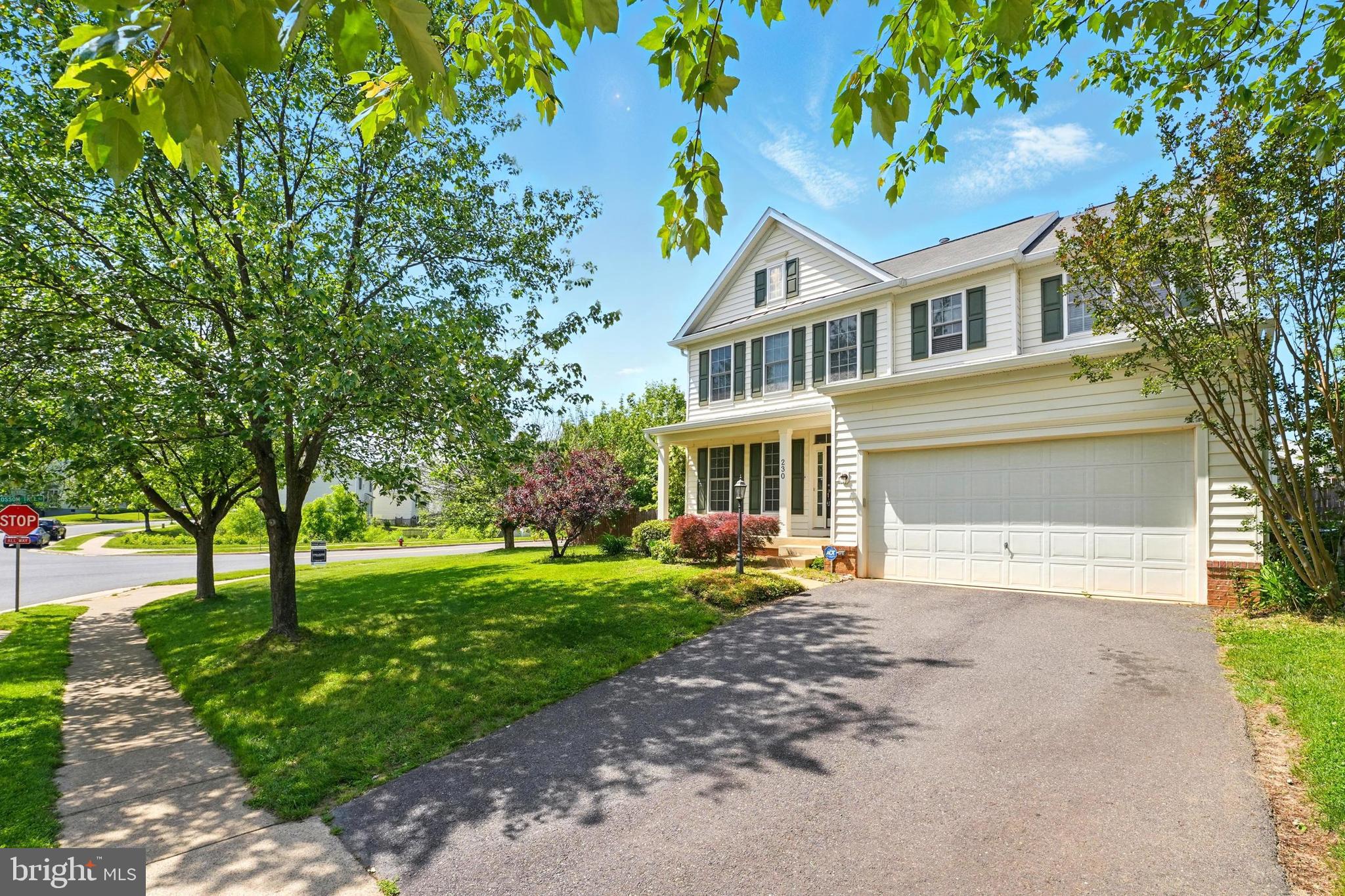 230 WHITWORTH DRIVE