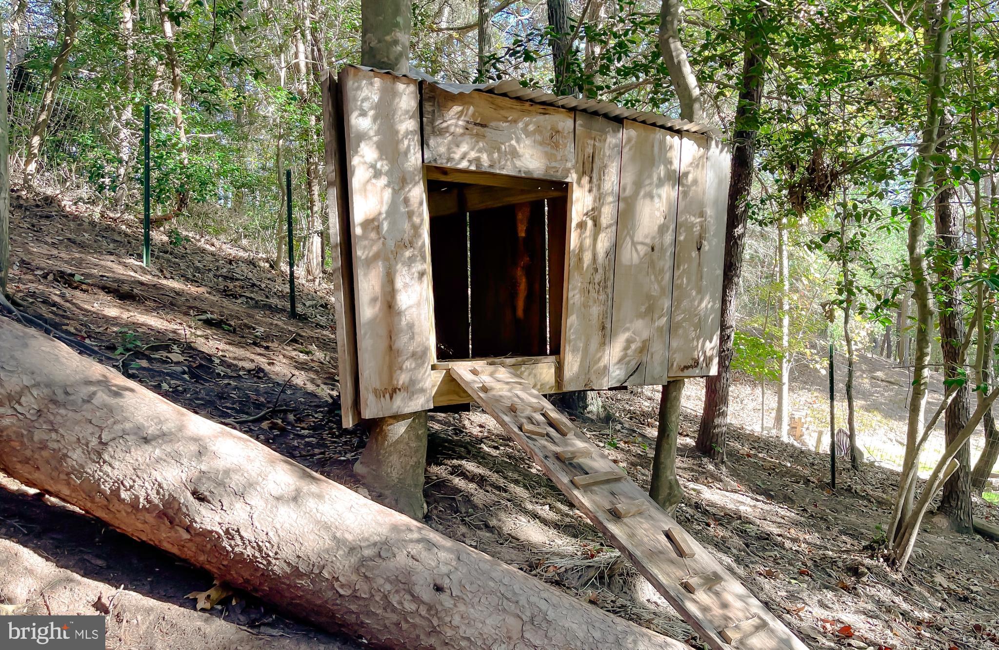 COVE LAKE - Residential