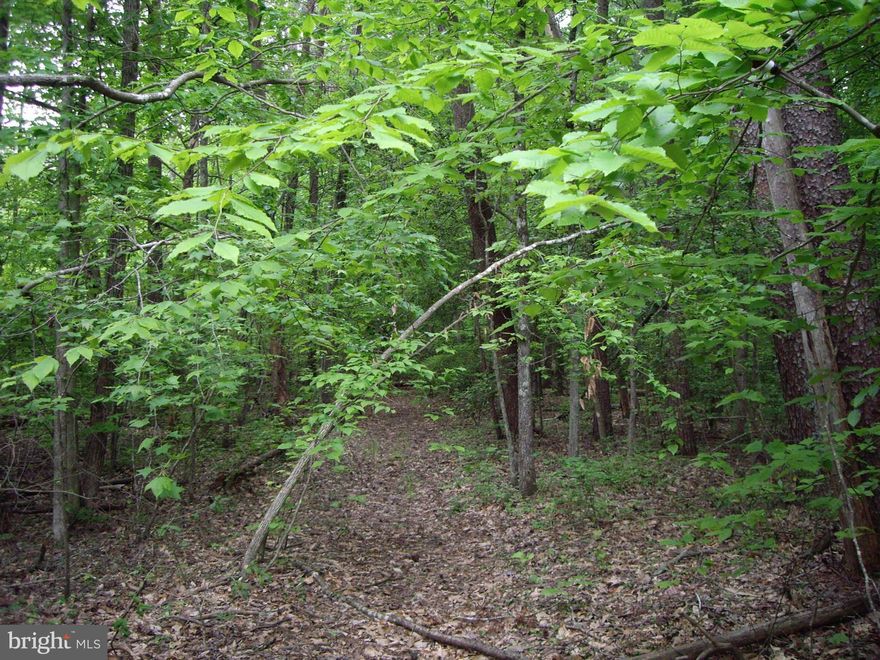 This forested 2.88 acre estate lot in River Glen subdivision offers the ideal home site for those buyers looking for privacy. Natural gas available. Conveniently located to all the amenities Route 3 offers & a short drive to historic Fredericksburg. 50% of the subdivision has been designated a "conservation area", creating corridors for wildlife and the preservation of the forest for a rural feel.
