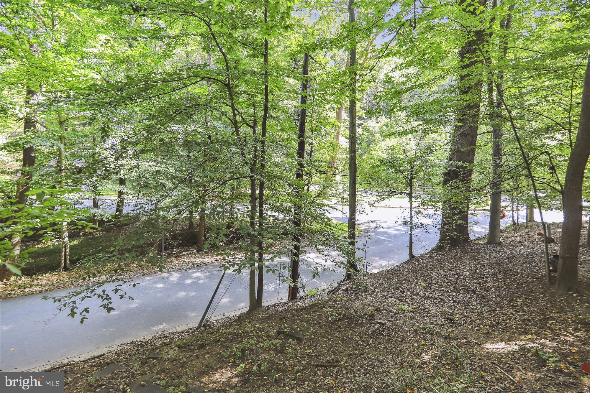 TAKOMA PARK - Residential