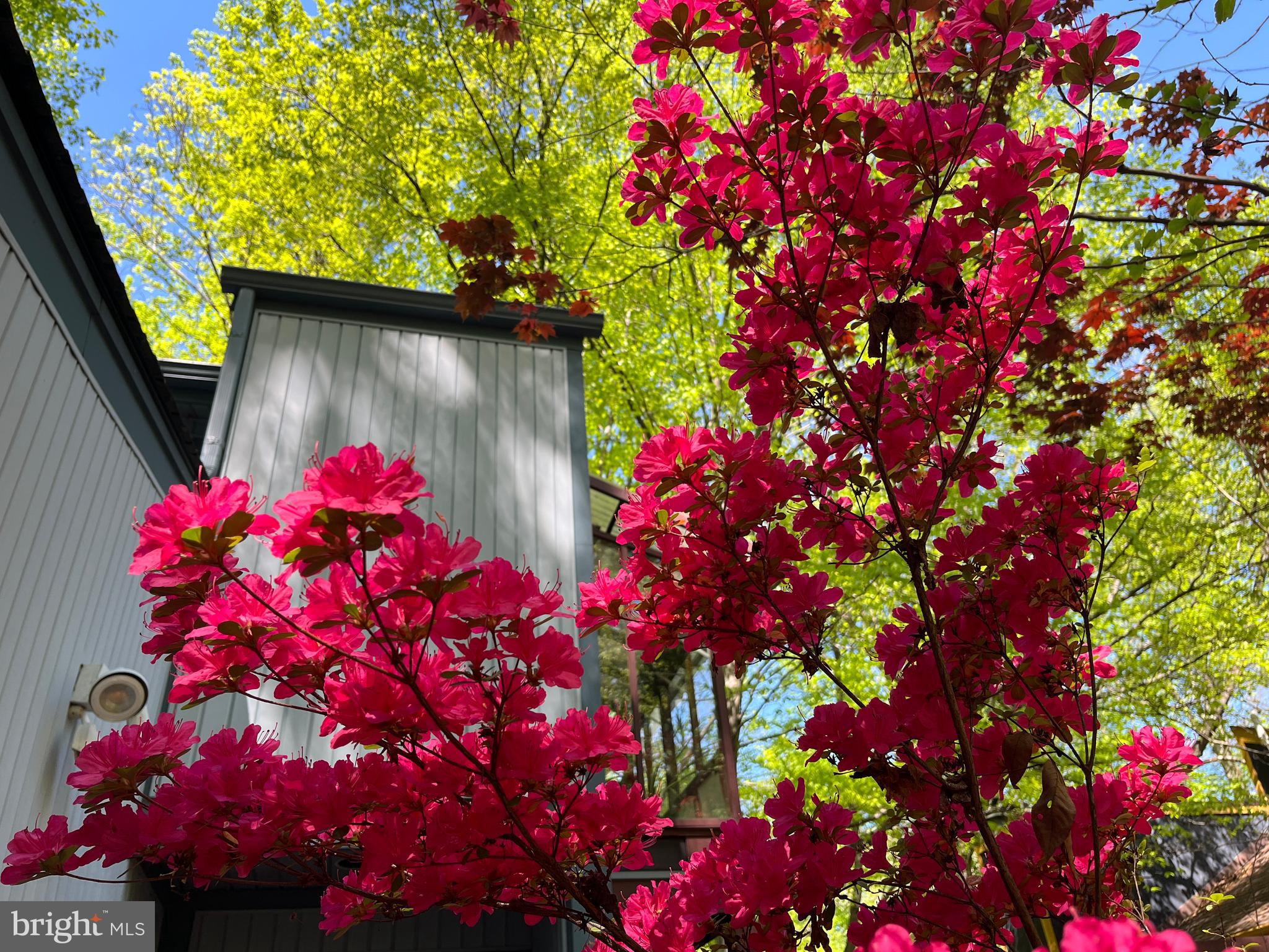 TAKOMA PARK - Residential