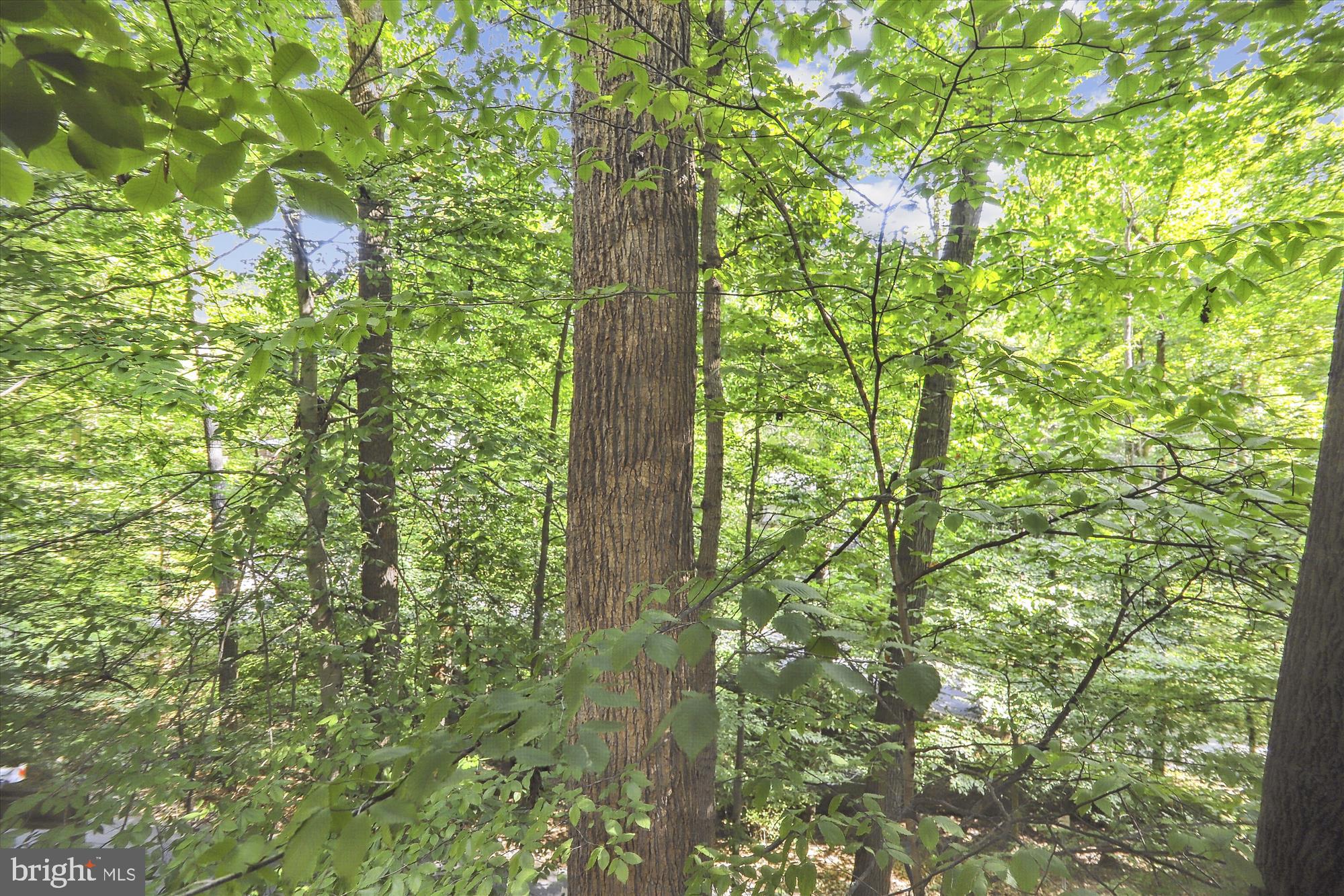 TAKOMA PARK - Residential