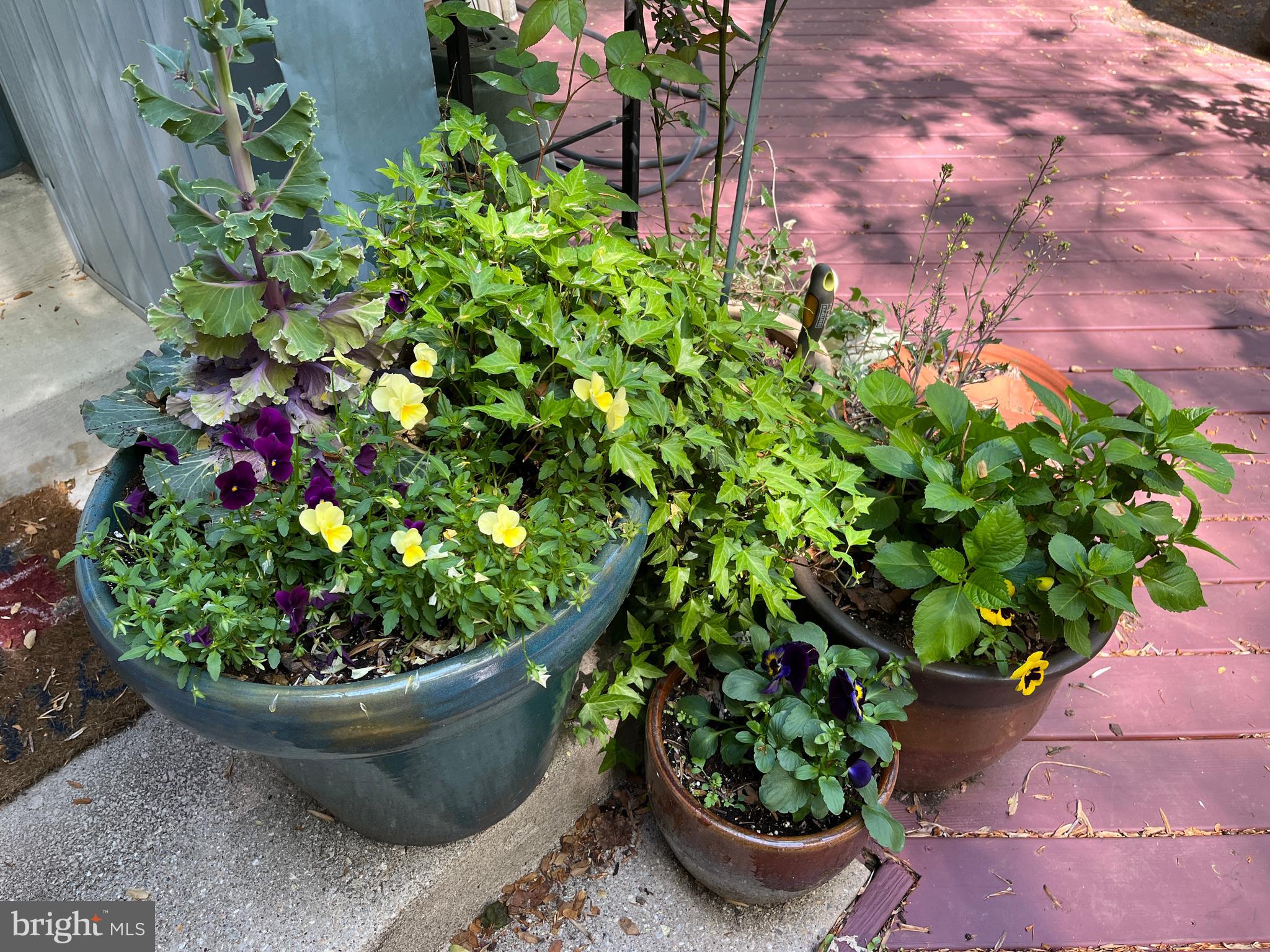 TAKOMA PARK - Residential