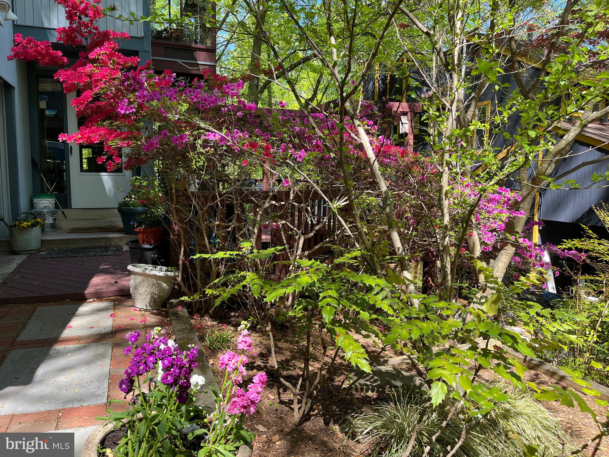 TAKOMA PARK - Residential