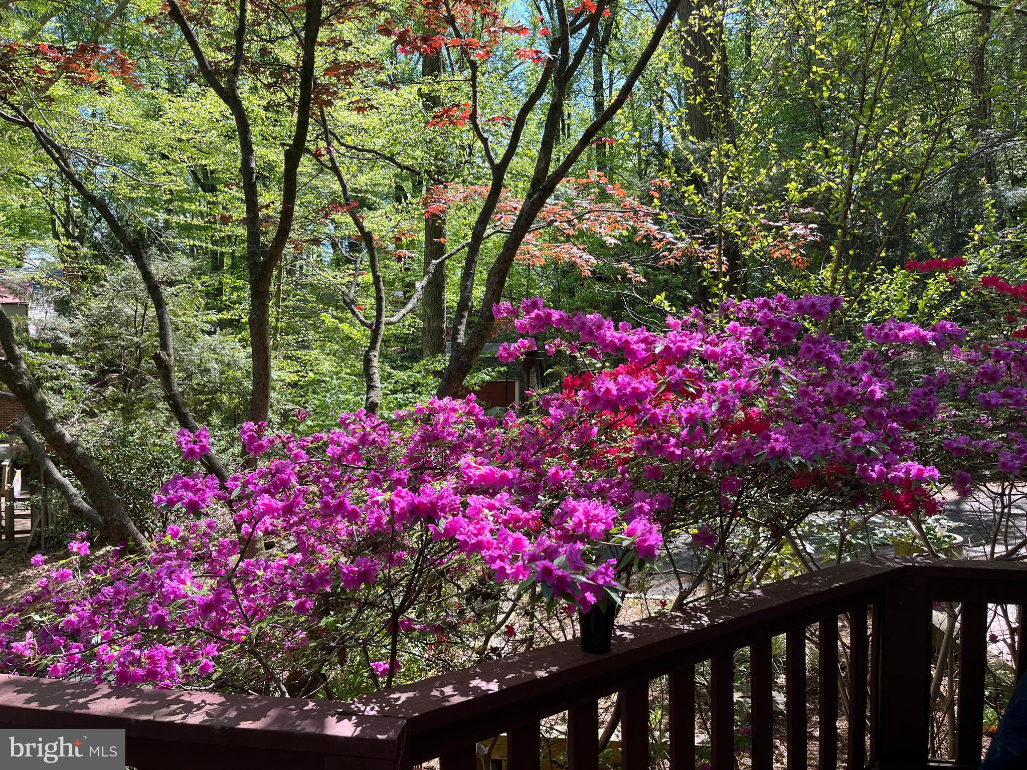 TAKOMA PARK - Residential