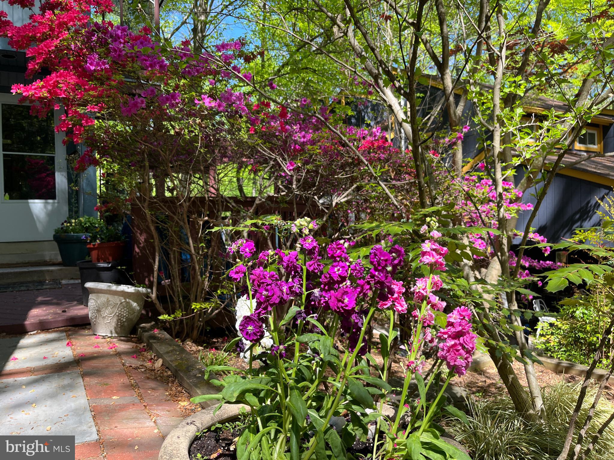 TAKOMA PARK - Residential