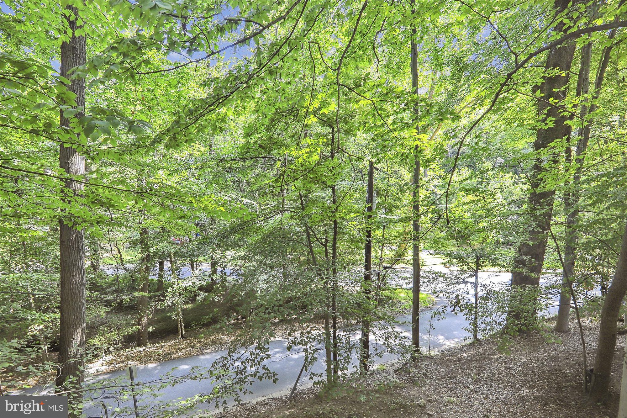 TAKOMA PARK - Residential