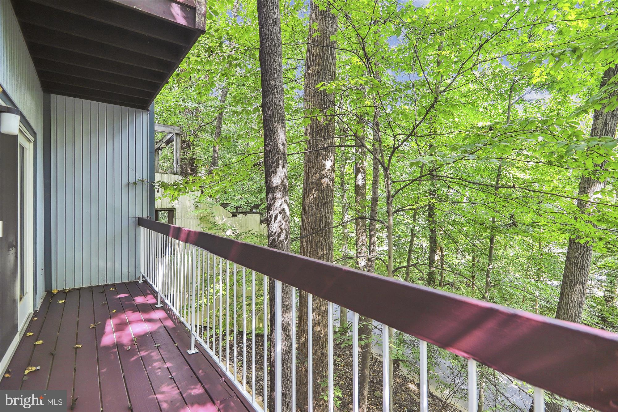 TAKOMA PARK - Residential