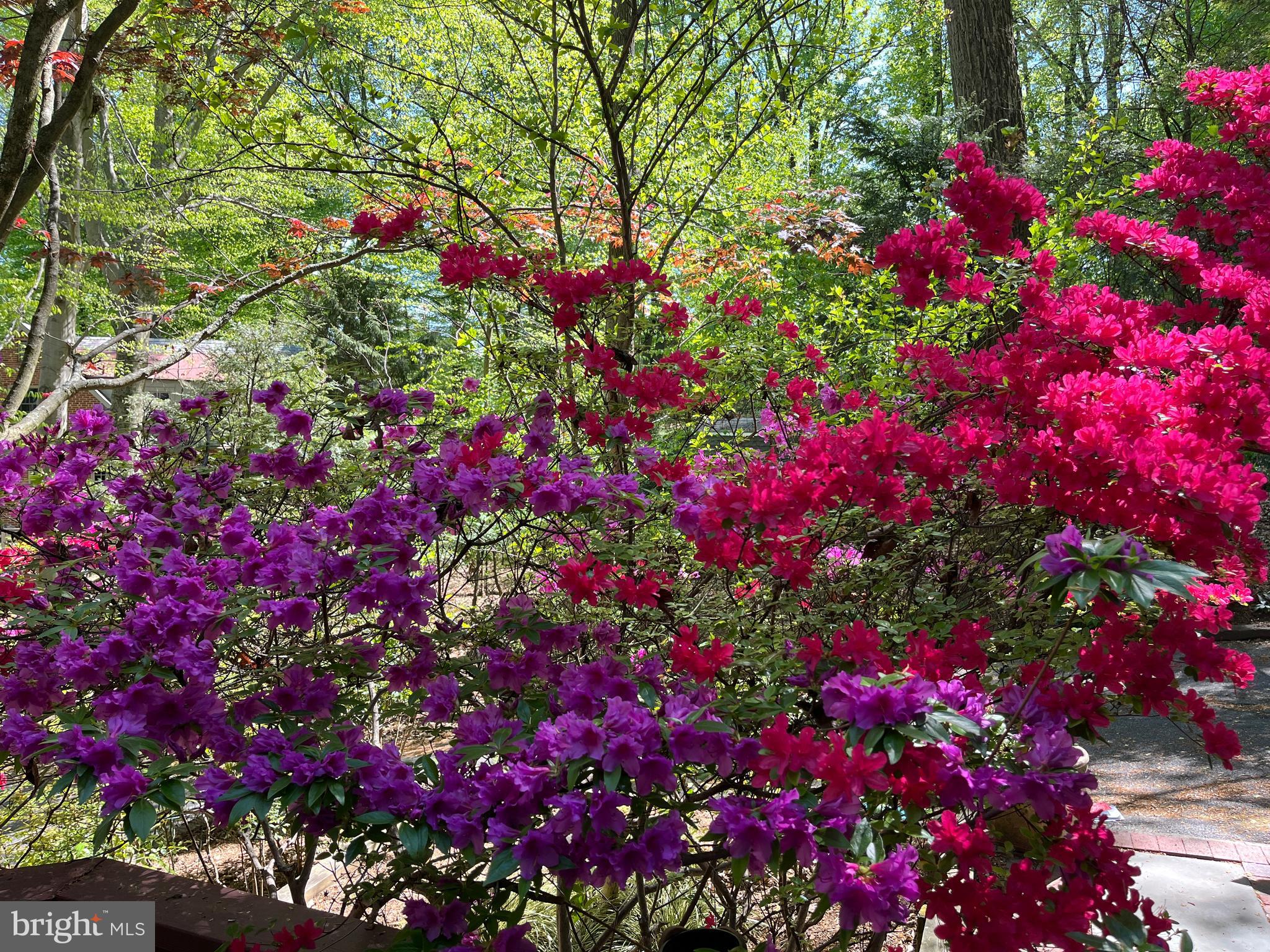 TAKOMA PARK - Residential