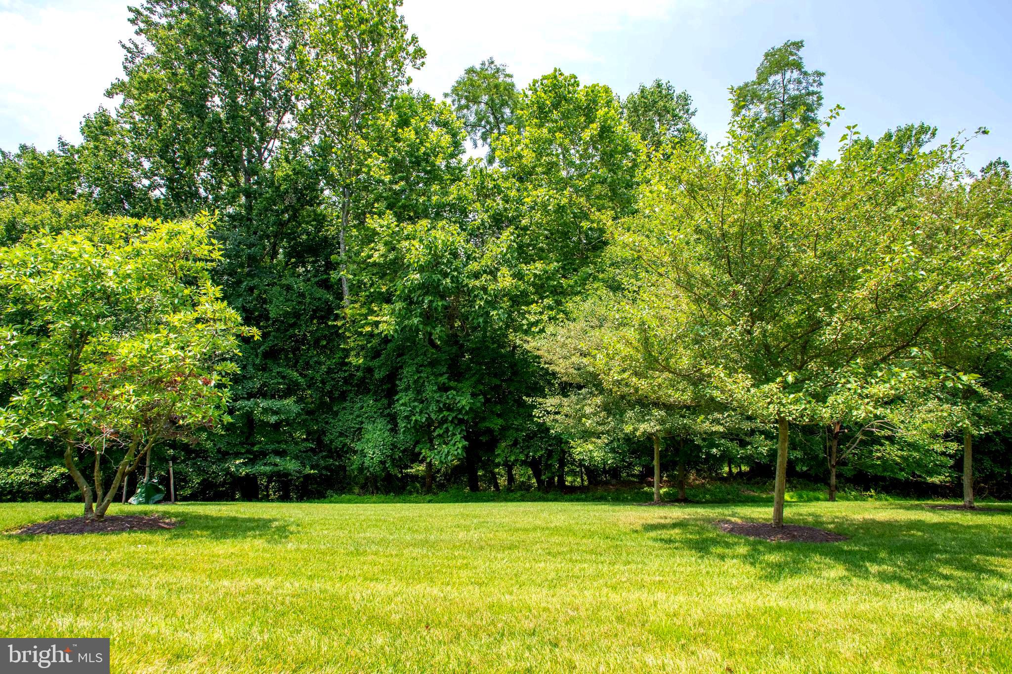 CLOISTERS AT CHARLES III - Residential