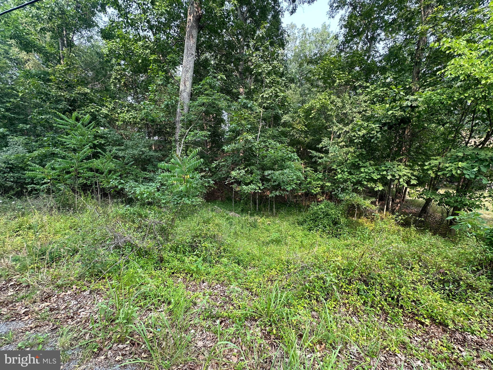 147 LAKE HOLIDAY ROAD