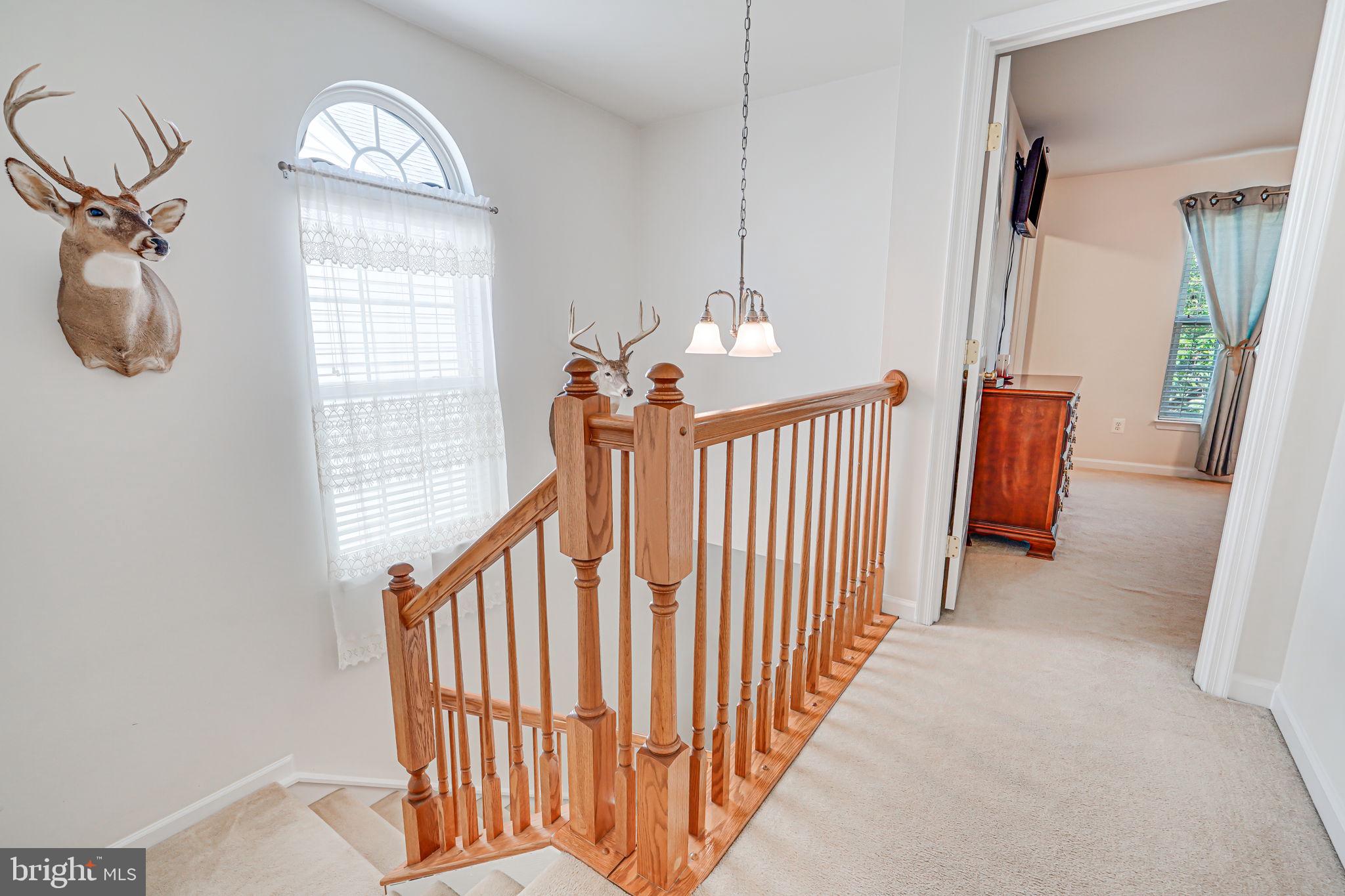 PIEDMONT SOUTH - Residential