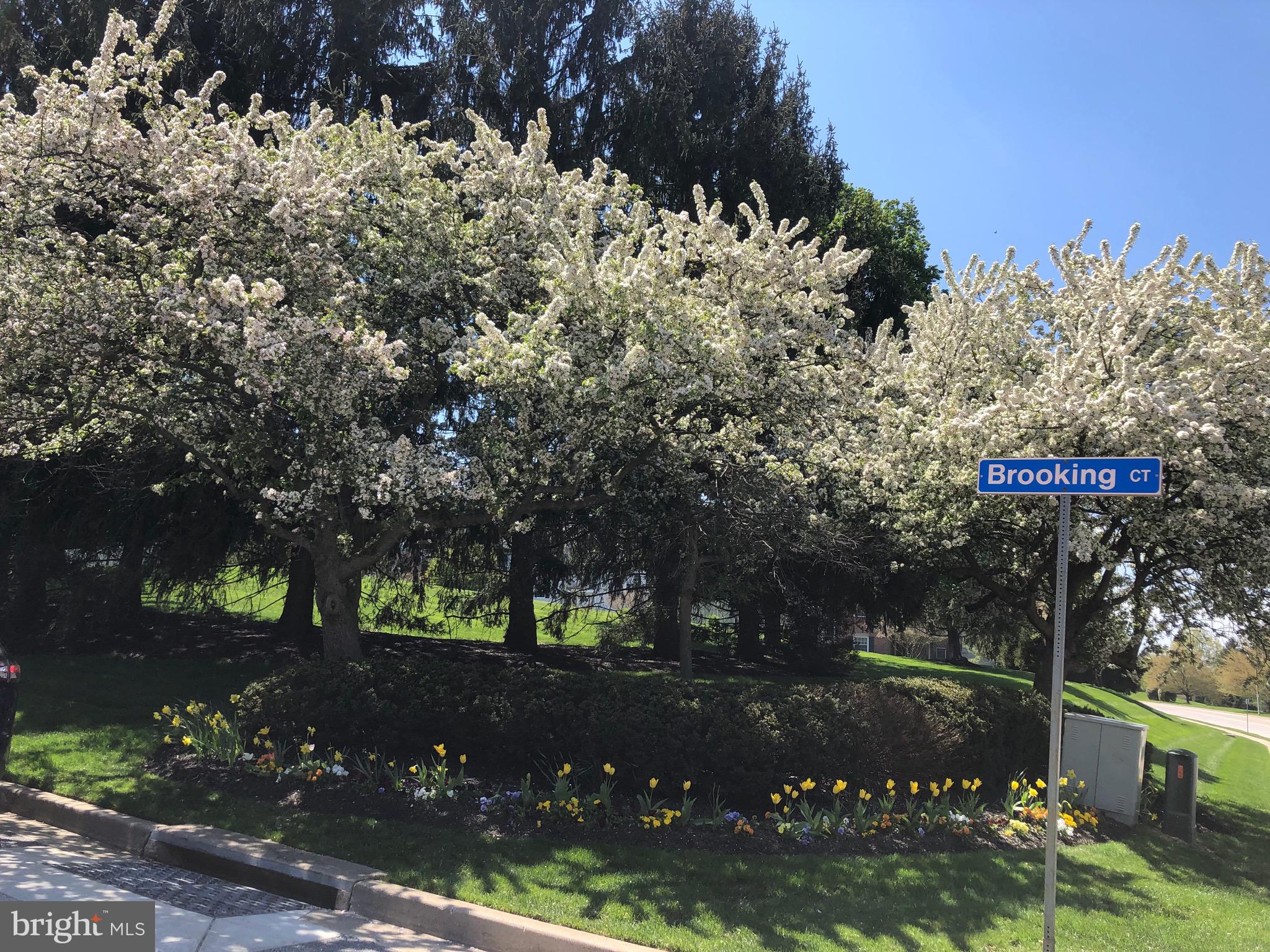 BROOKING COURT GARDEN - Residential