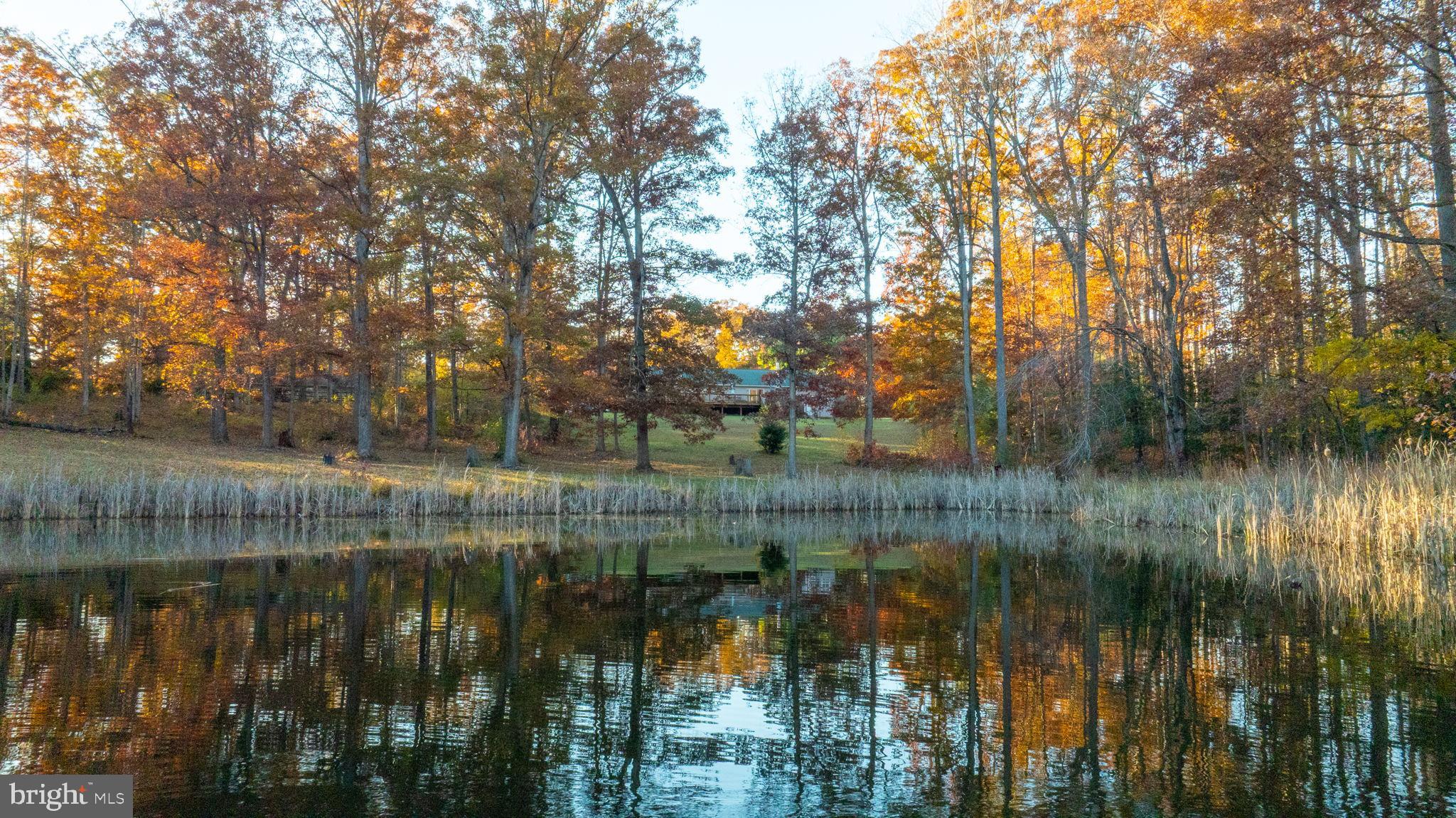 TODDS TAVERN ESTATES - Residential