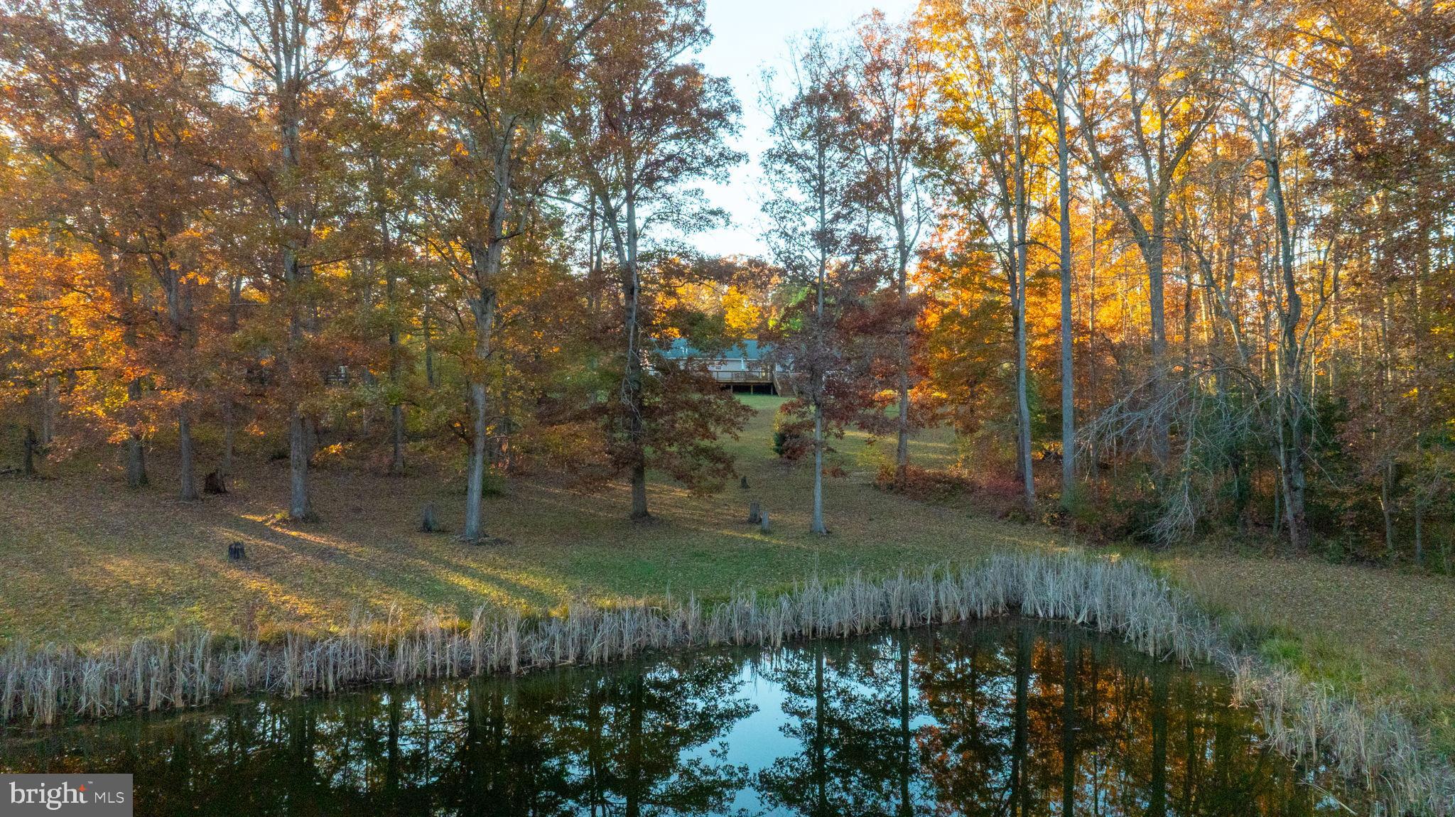 TODDS TAVERN ESTATES - Residential